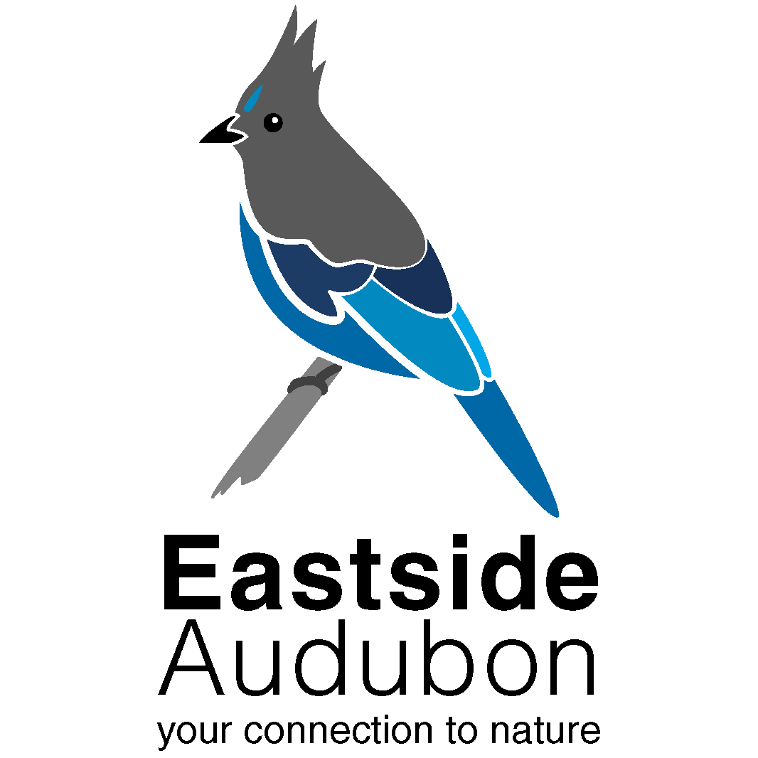EAS Logo - NOV2025-28.png