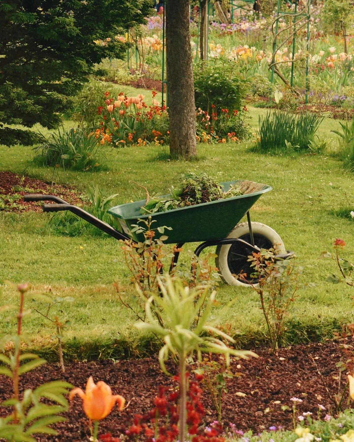 94115B41-3EEF-4A97-A833-EDA1A51B64AA 2.JPG