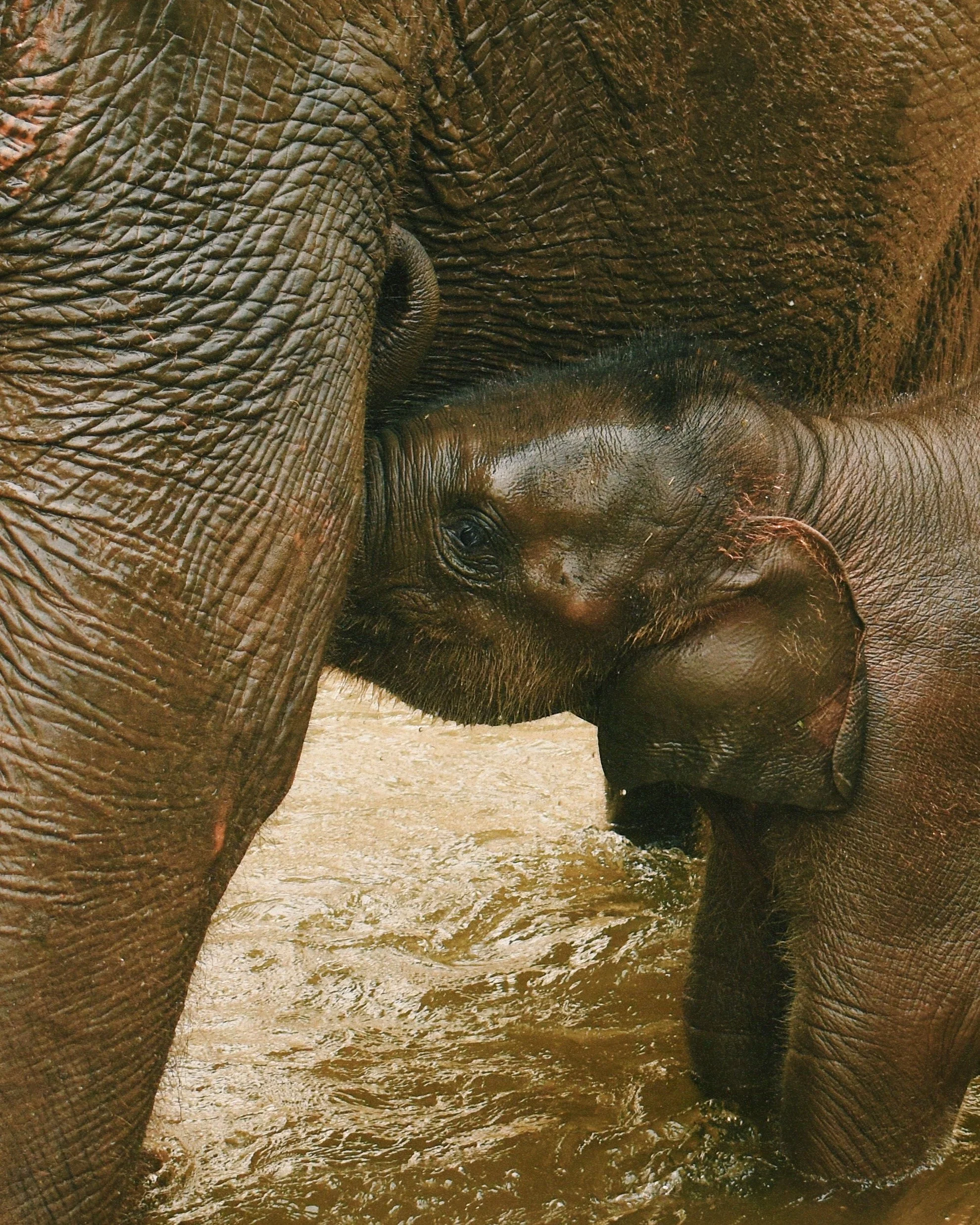 FullSizeRender_VSCO 47.JPG