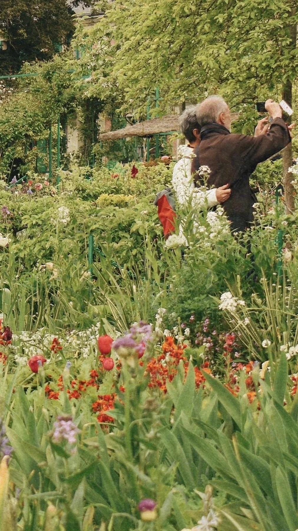 Two elderly people taking a selfie in a lush garden filled with various colorful flowers and green plants.
