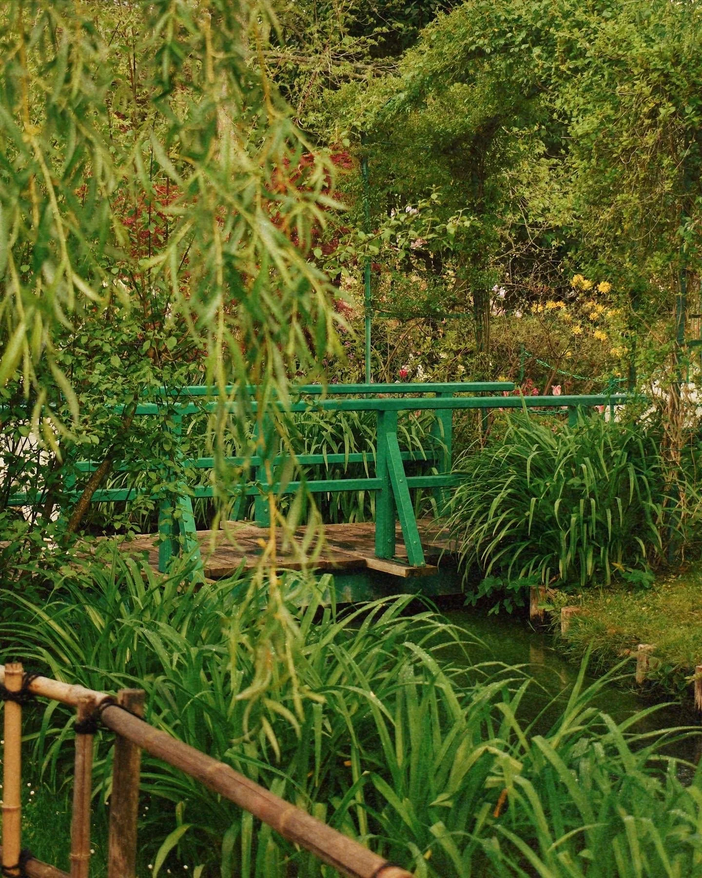 4C63B15C-470E-49CE-80C7-1D8E745C630B 2.JPG