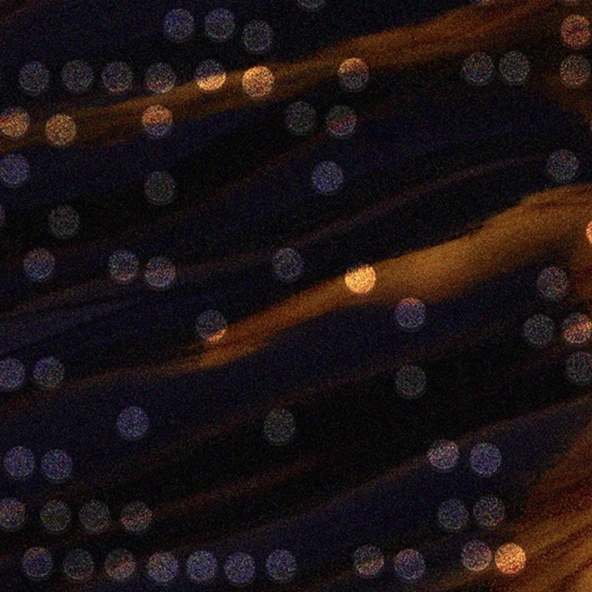 IMG_6770.jpg