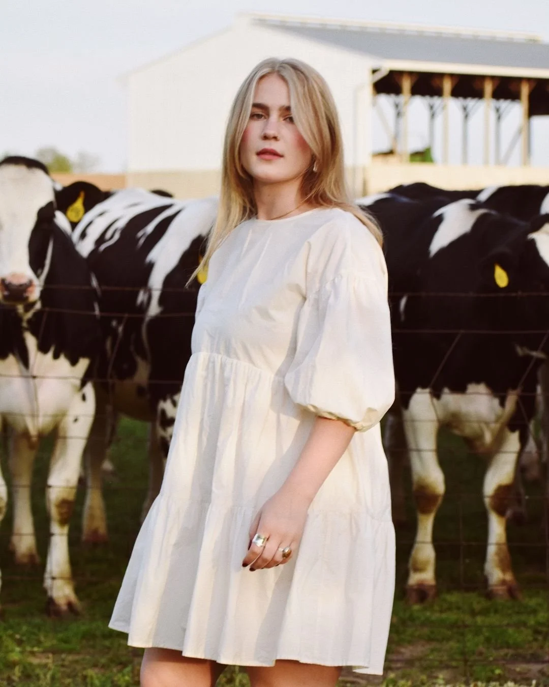 A woman in a white dress standing in front of a fenced area with black and white cows in the background on a farm.