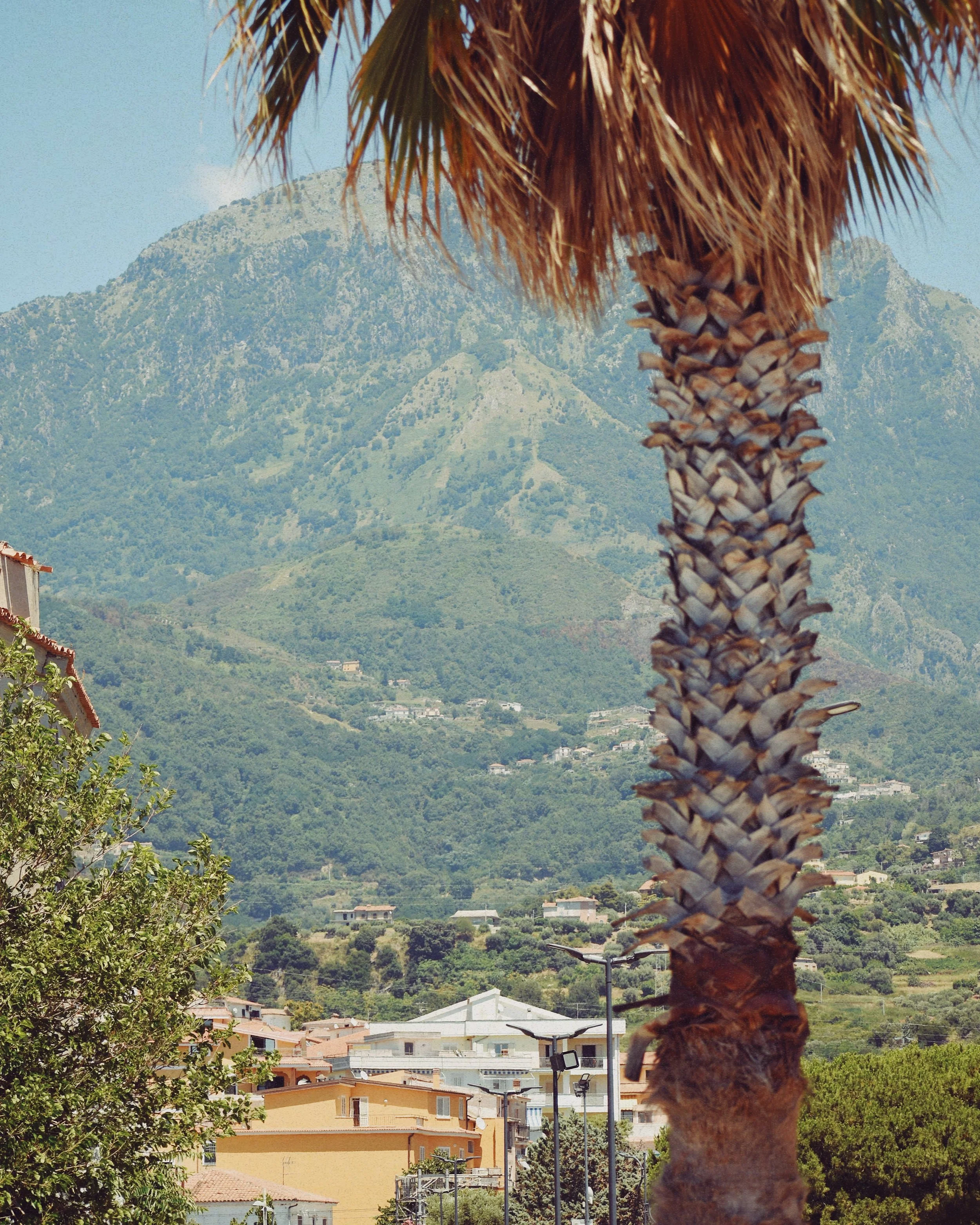 FullSizeRender_VSCO 21.JPG