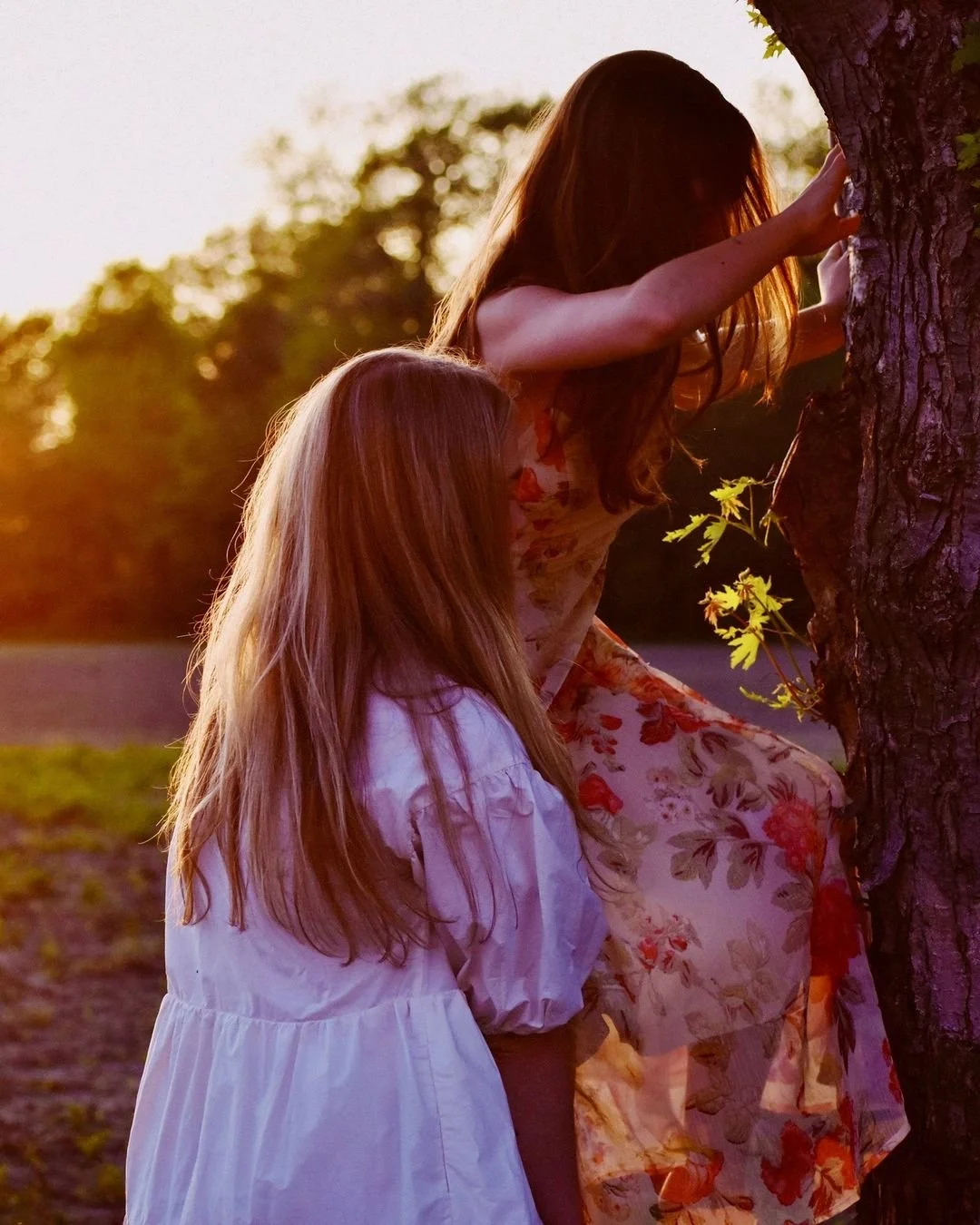 Two young women with long hair, one with blonde hair in a white dress and the other with brown hair in a floral dress, leaning against a tree outdoors during sunset.