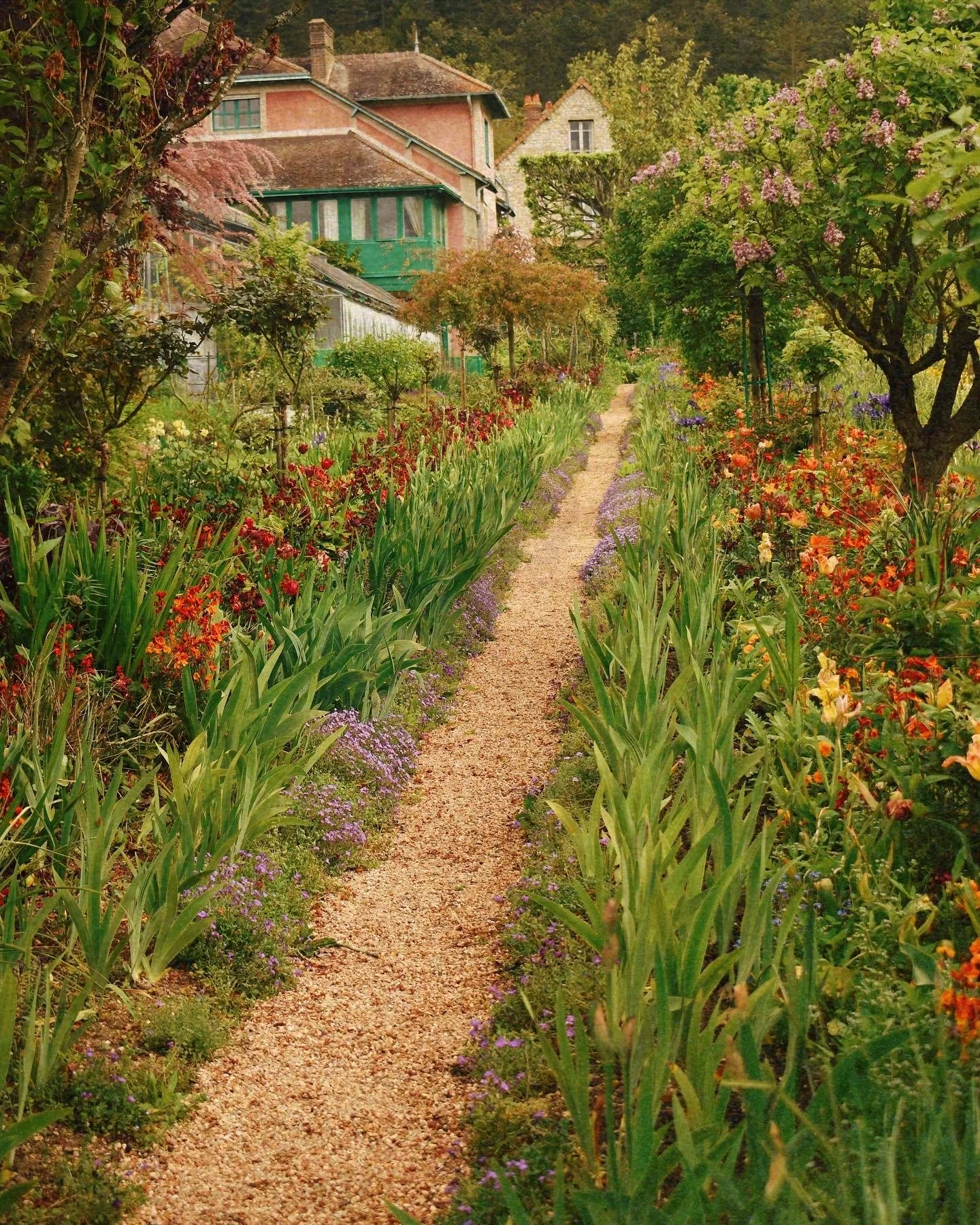 DF0A120F-24C1-4F6F-A12F-A8385F92F5C5 2.JPG