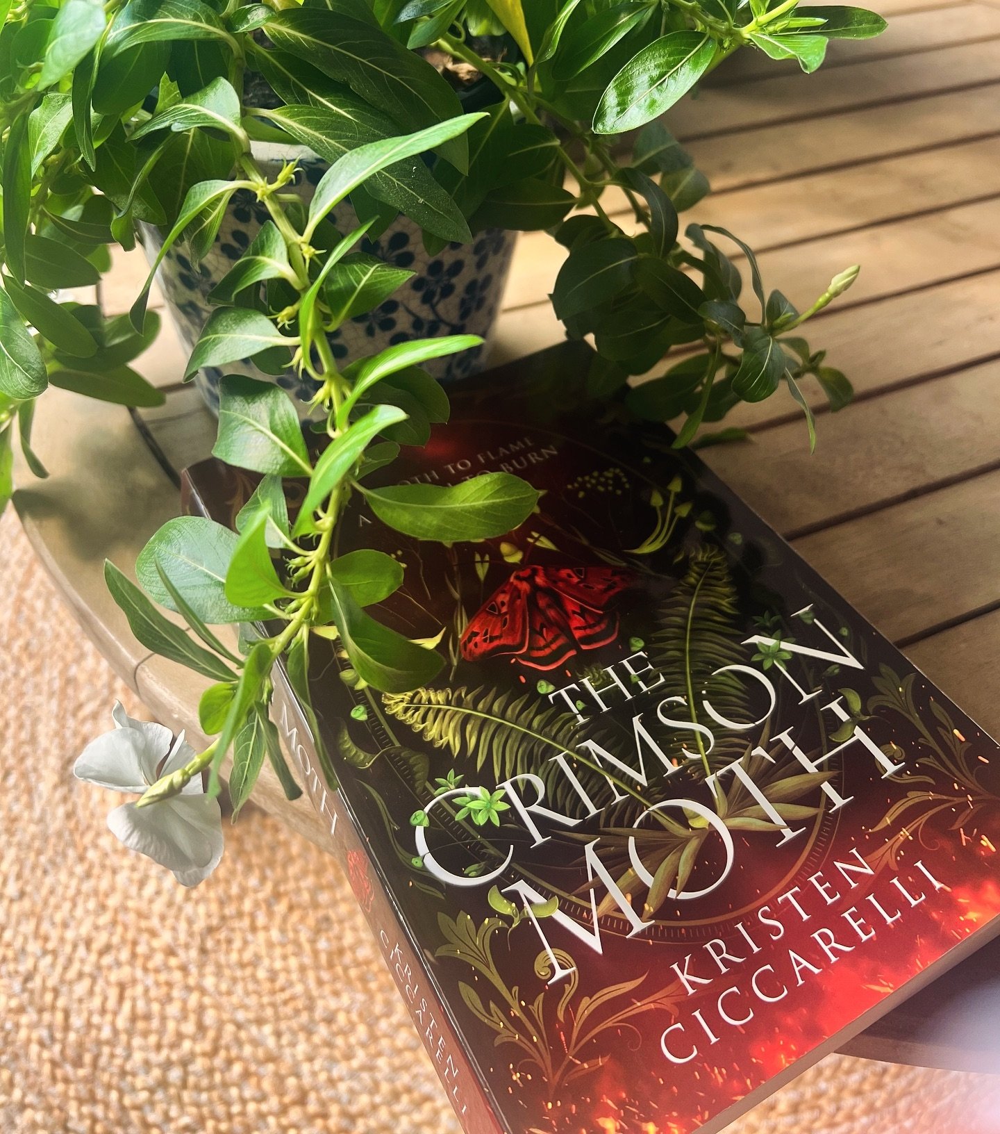 The Crimson Moth by Kristen Ciccarelli was highly recommended to me by @maggie_formella_leigh so I can&rsquo;t wait to get into it this weekend! Romantasy and enemies to lovers 👌

What are you reading this weekend?