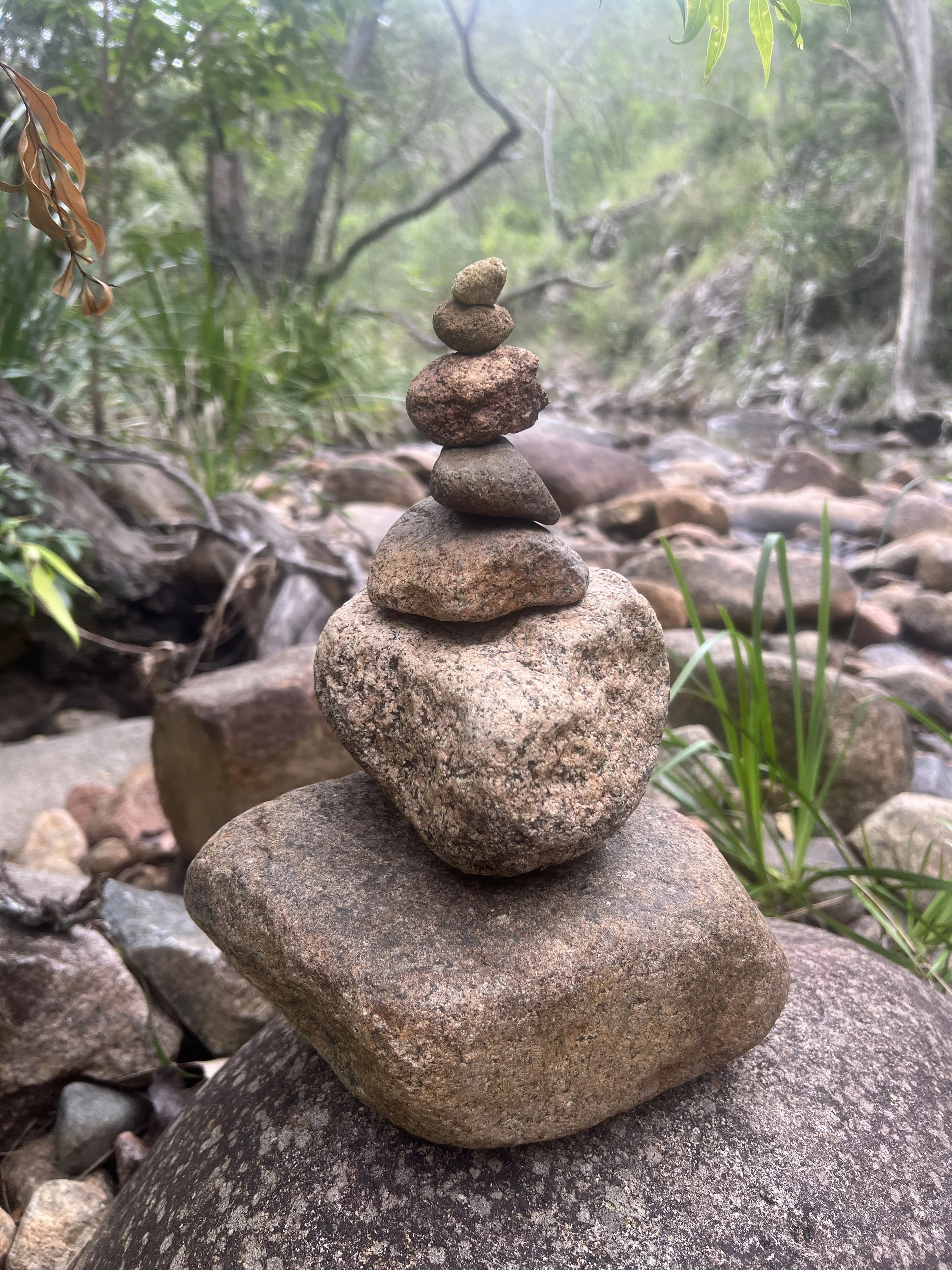 Gallery out in Nature