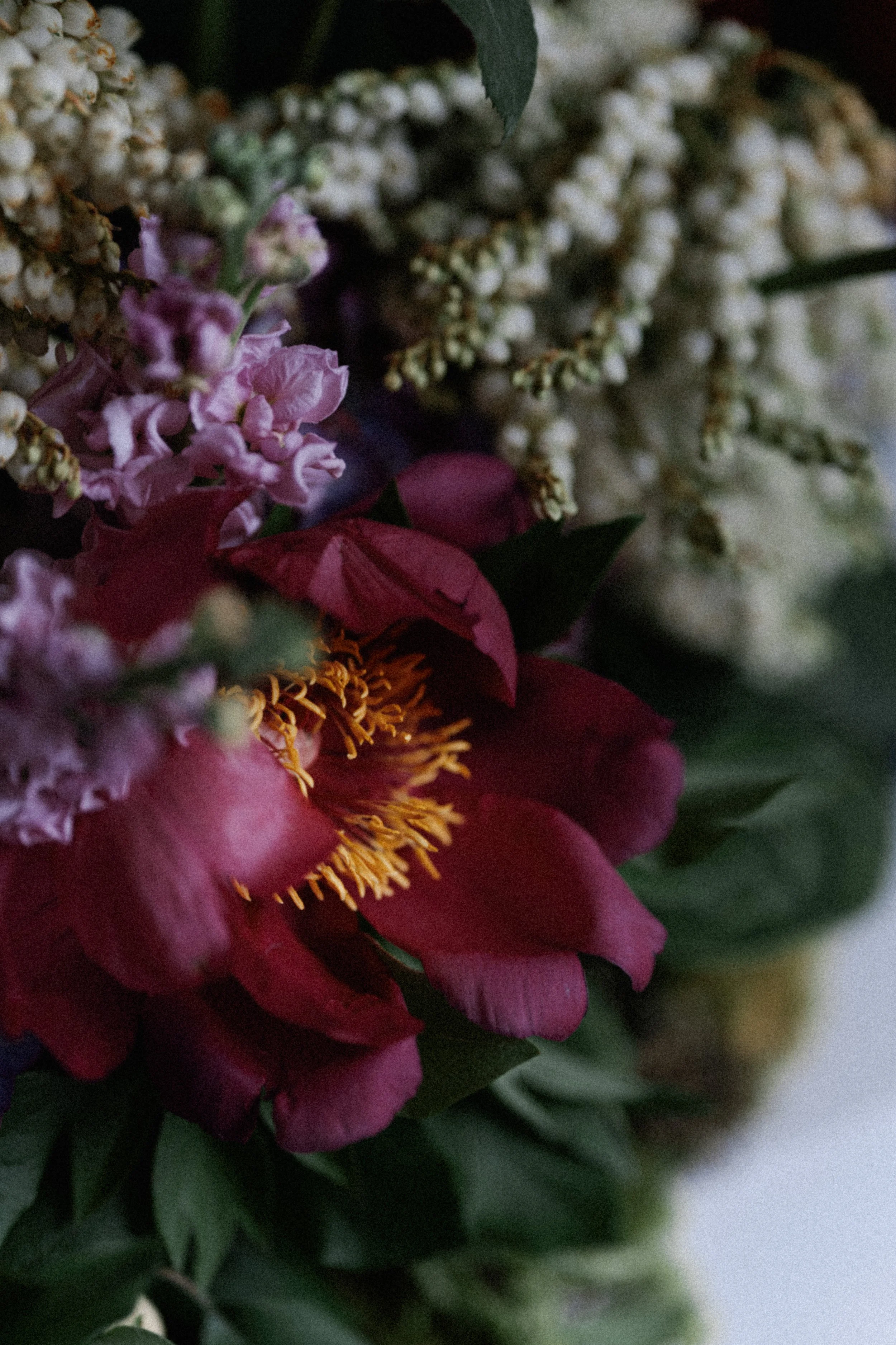 D5_00442.jpg