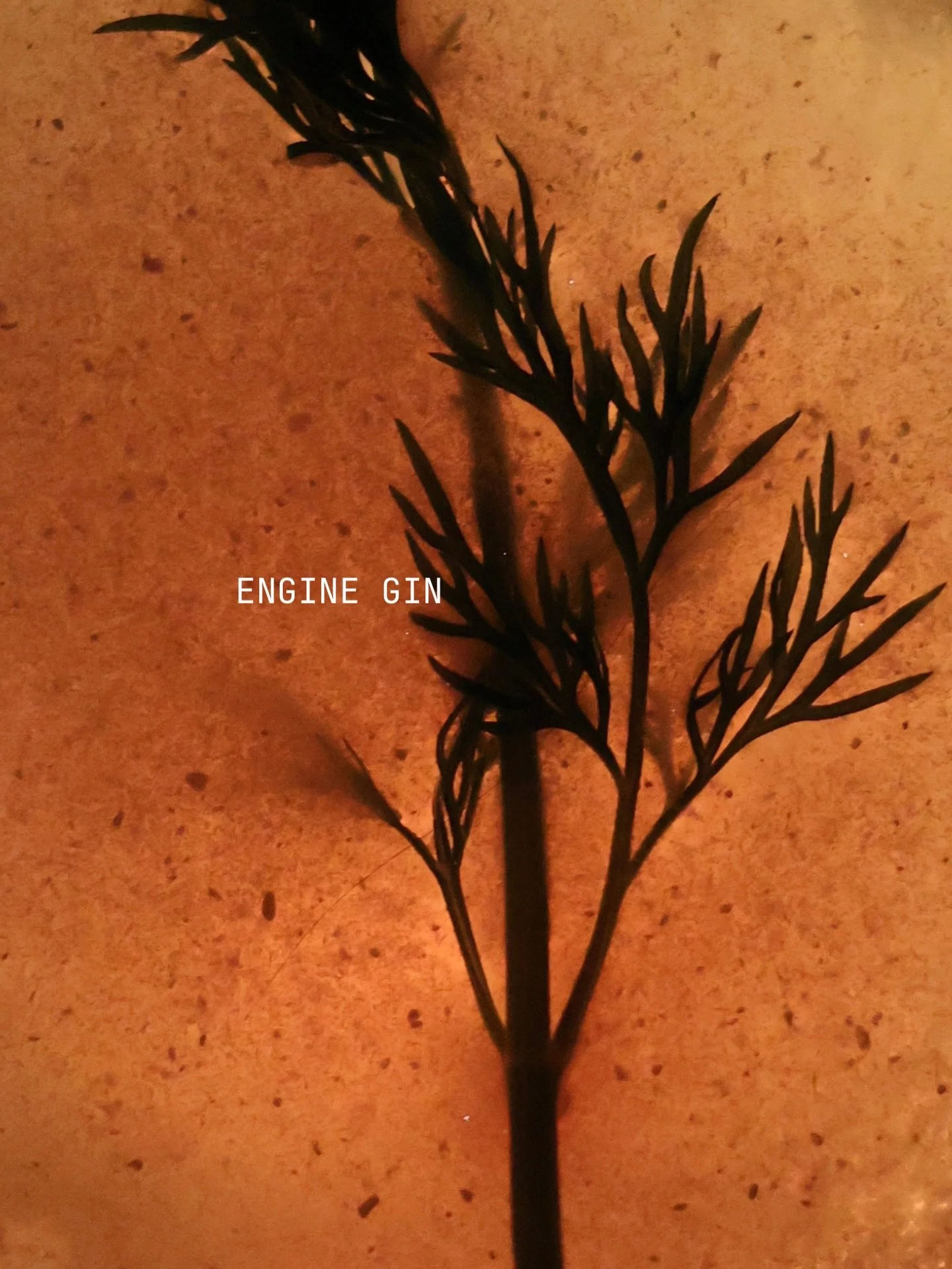 Engine Gin now pouring at Nightcar! Best enjoyed with tonic, lemon, and good company🍸
Not sure how to enjoy this wonderful gin? Don&rsquo;t be shy, ask our team and we&rsquo;ll mix up something perfect for you.
A classy, fun aperitivo vibe to start 