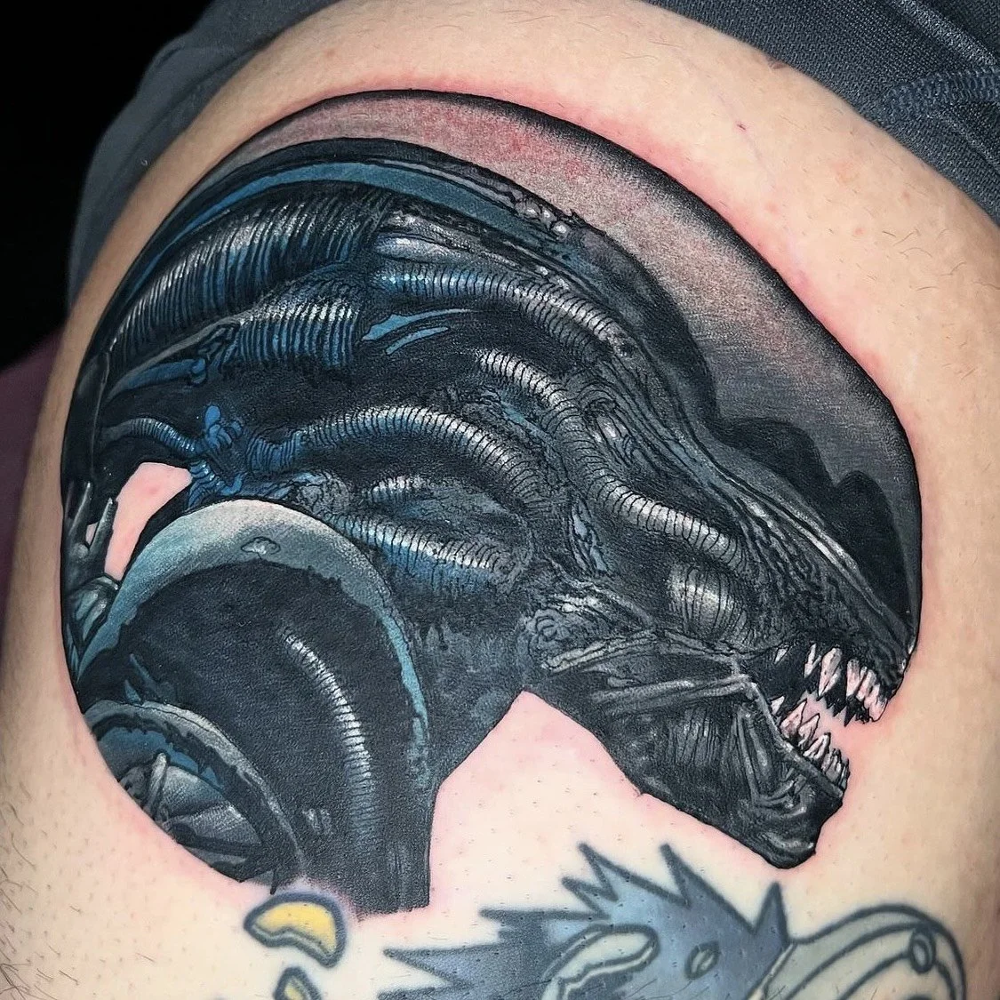 image_123650291 (44).JPG