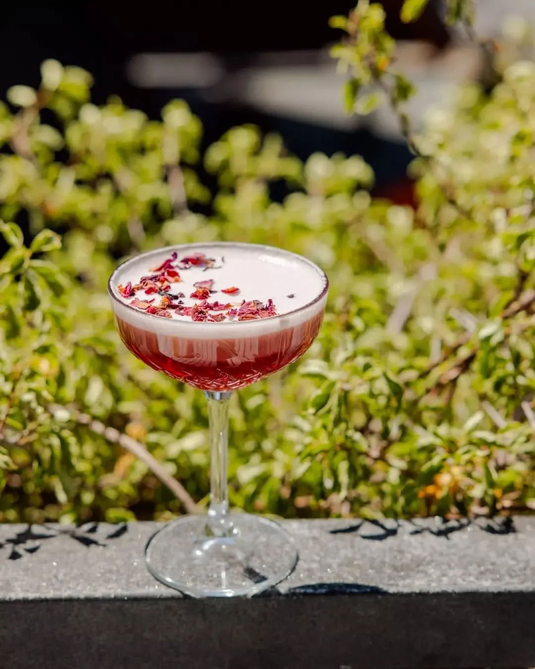 The Clover Club&nbsp;🌸 
Raspberry, lemon and egg white. Gin at its best!