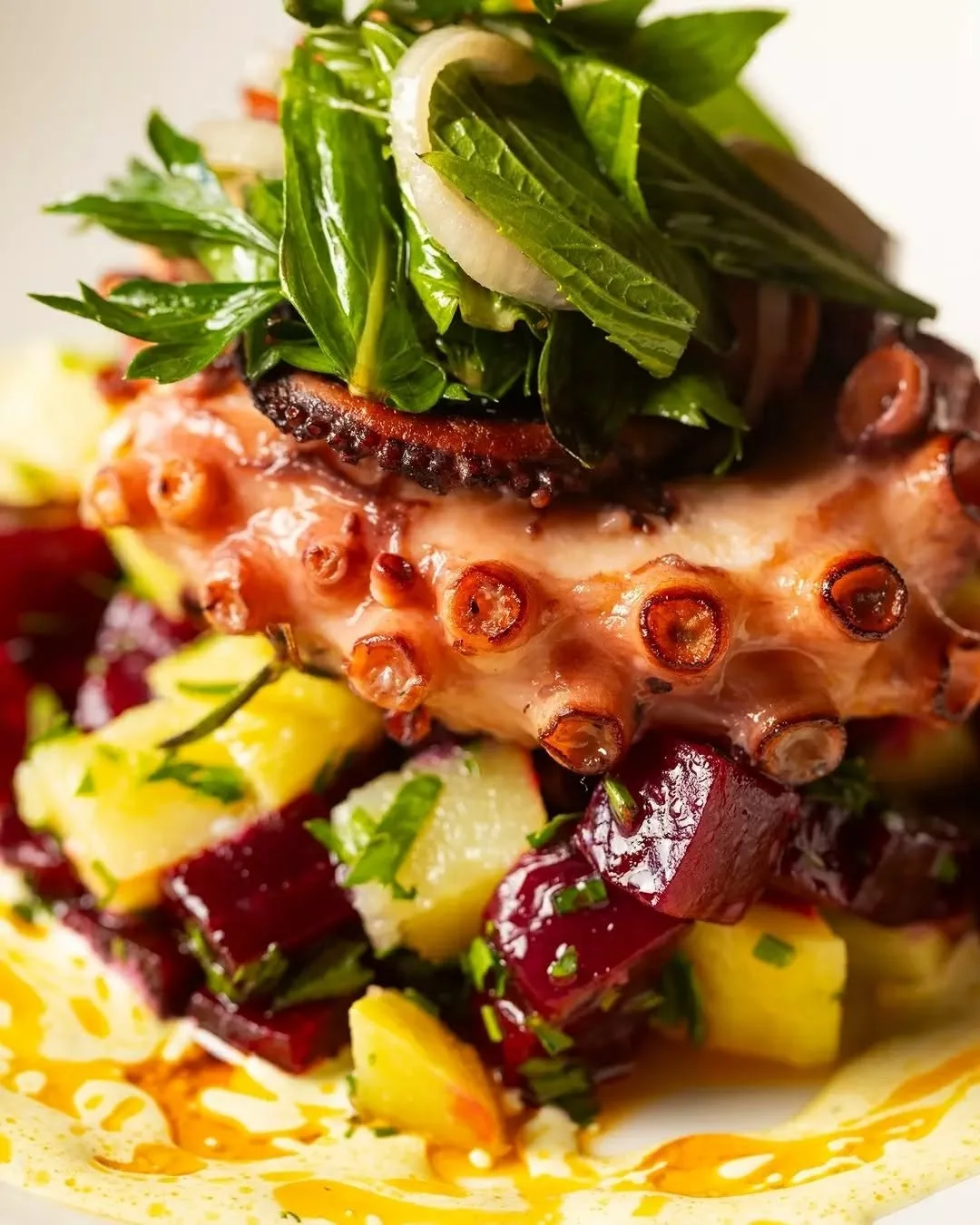 Insalata di Polpo e Patate 🐙 Grilled @fremantleoctopus, potato &amp; beetroot salad, wild herbs and all the good flavours in one bowl.