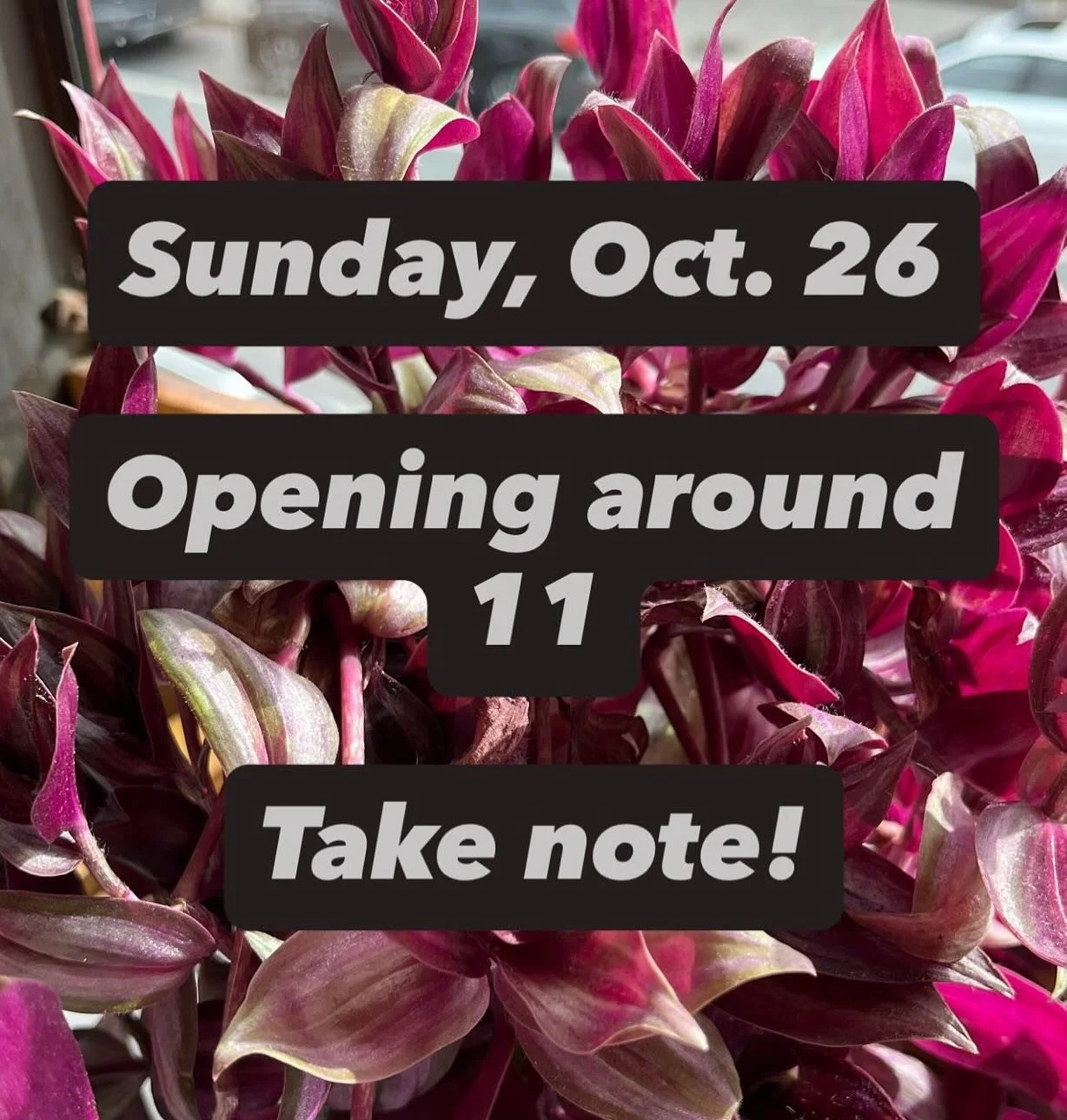 This Sunday we&rsquo;re opening late.