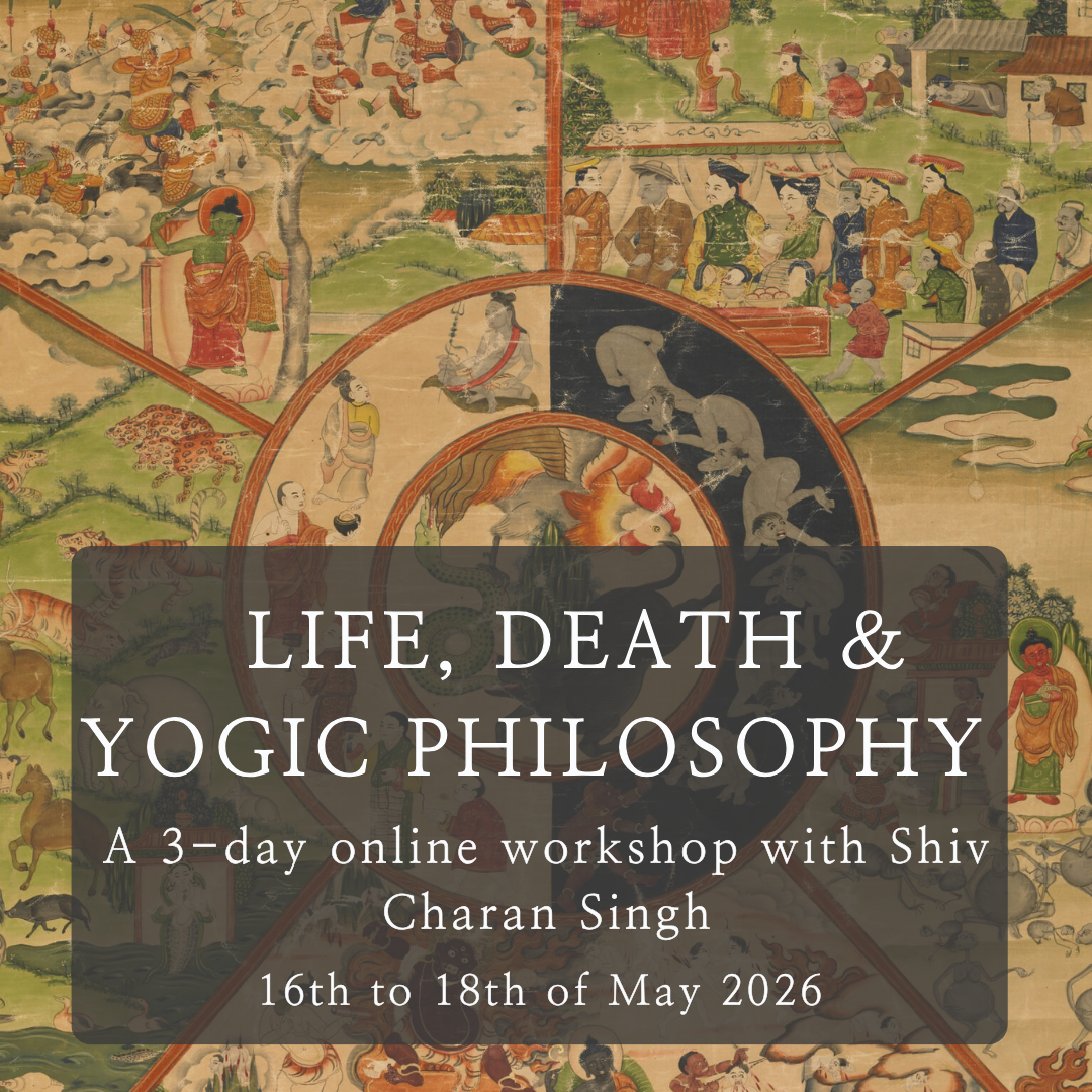 life, death &amp; yogic philosophy