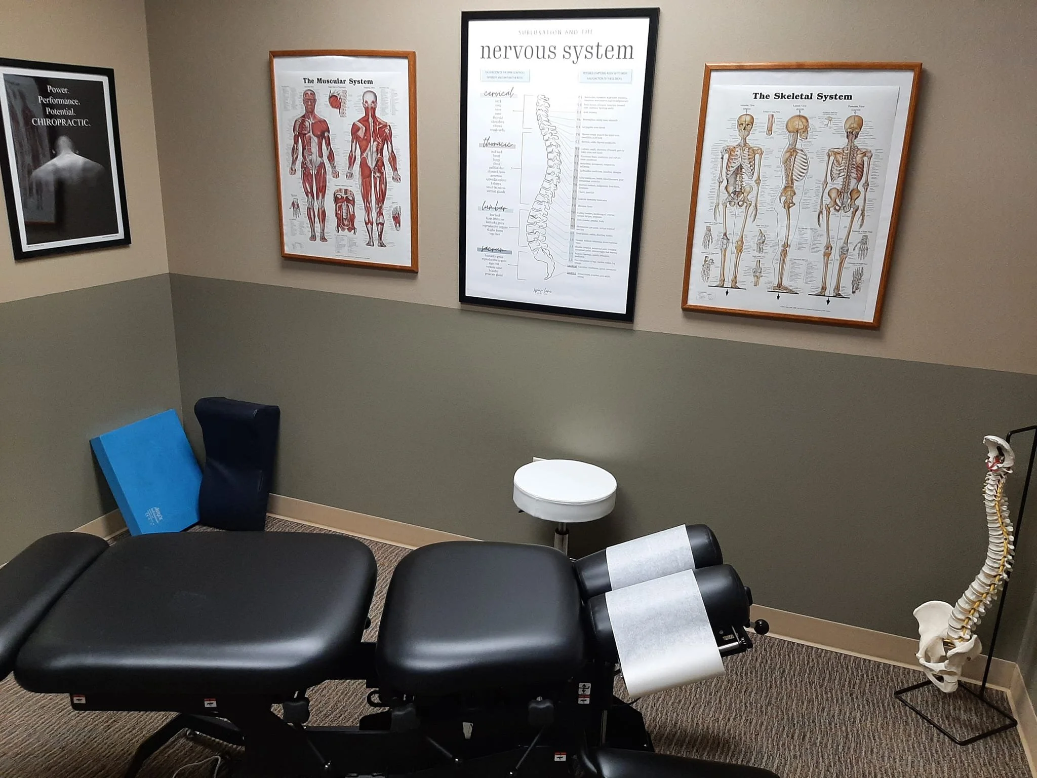 A chiropractic exam room with medical posters of the muscular, nervous, and skeletal systems on the wall, a chiropractic adjustment table, a skull anatomy model, a blue exercise mat, and a white round stool.