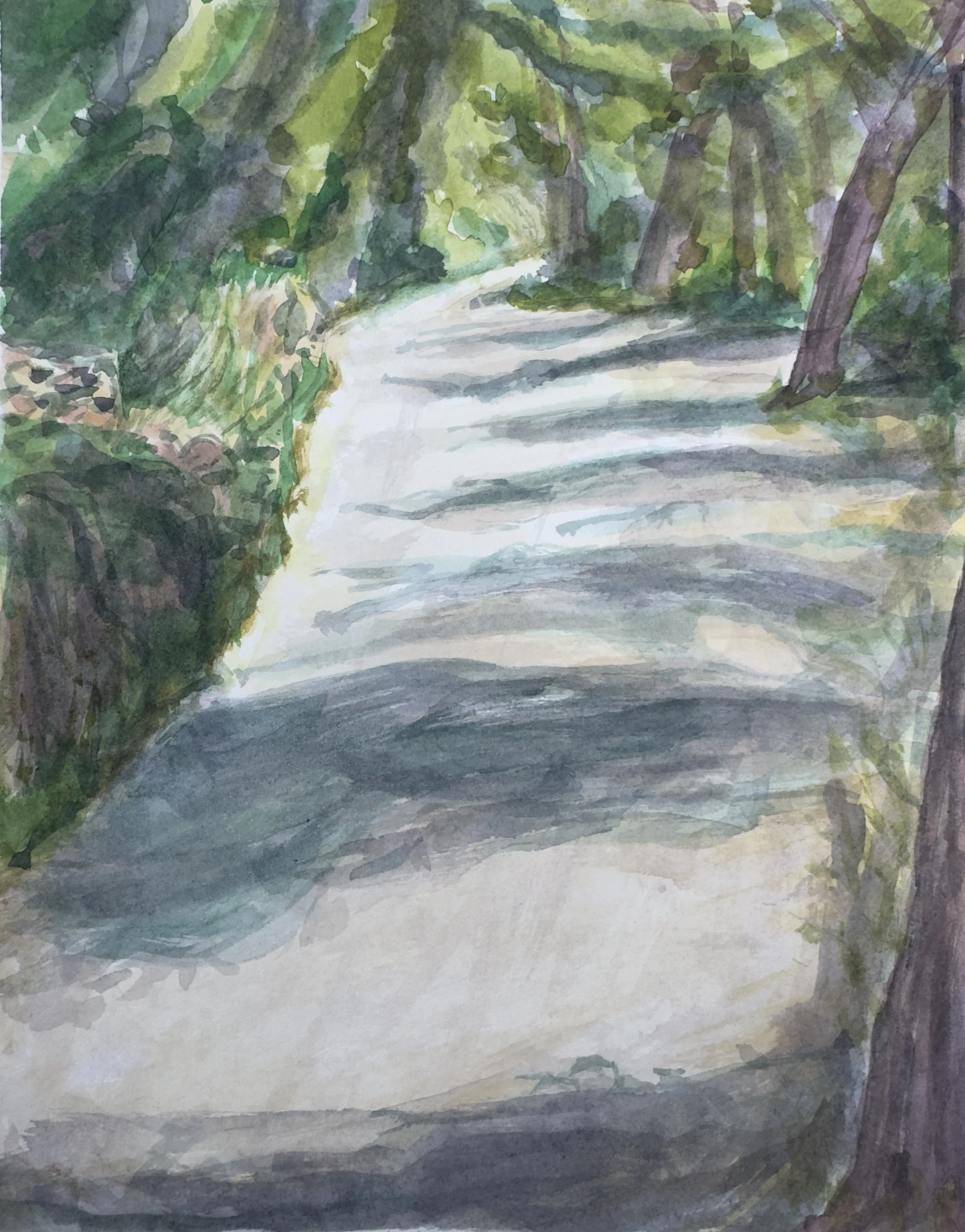 Split Forest path - 2 MB.jpeg