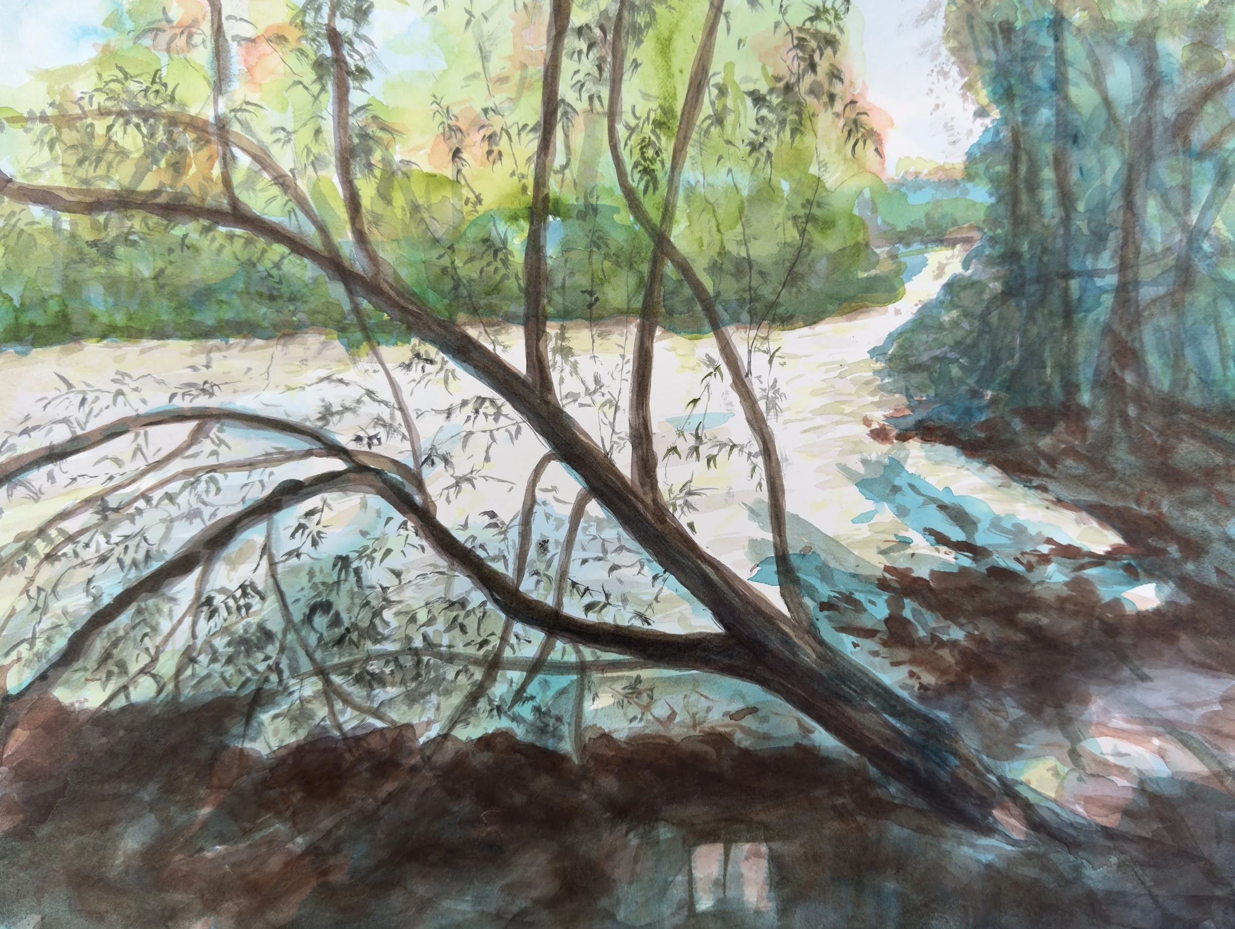 Meadow Lake at the Arboretum.jpeg