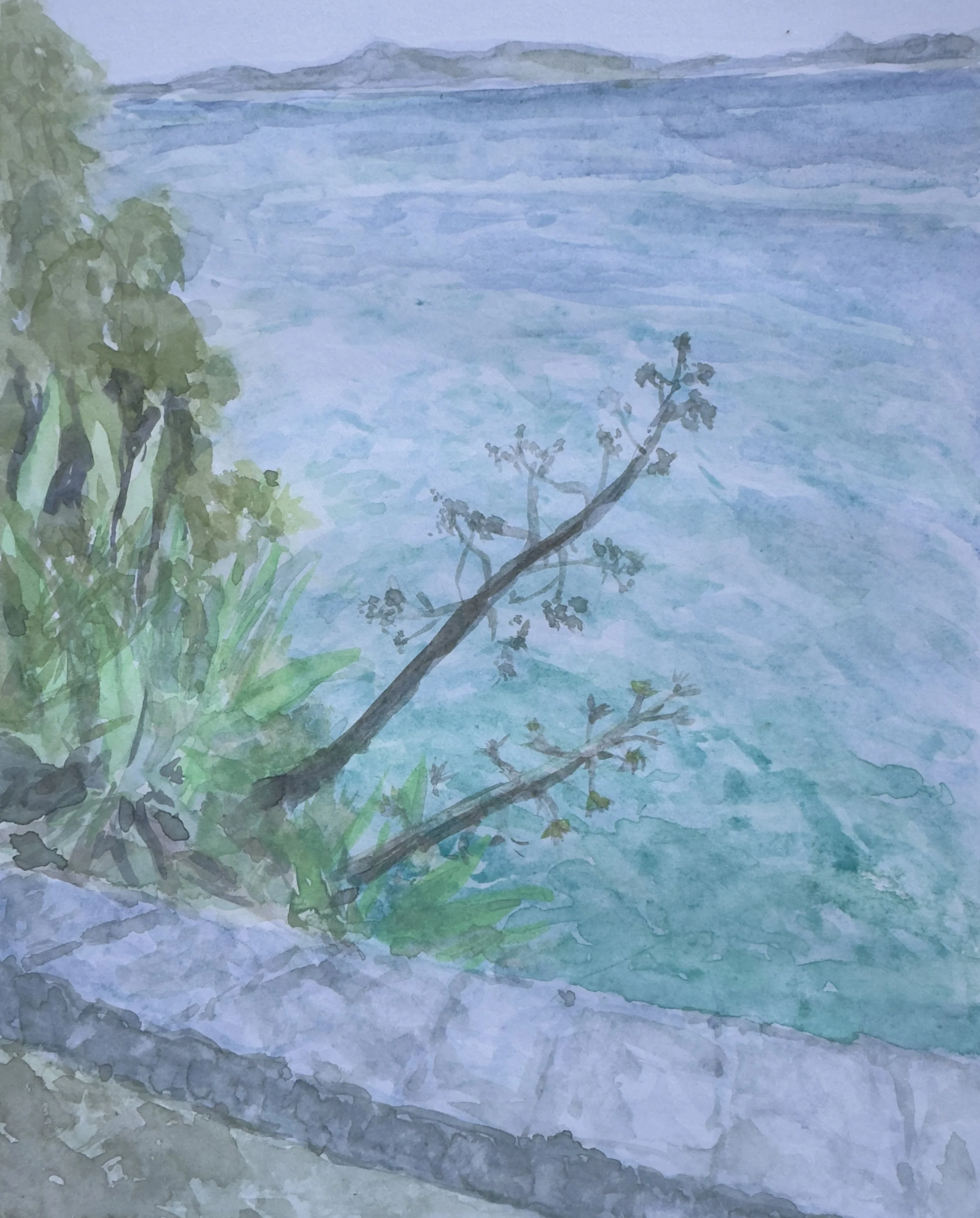 Split, view from forest - 1.9 MB.jpeg