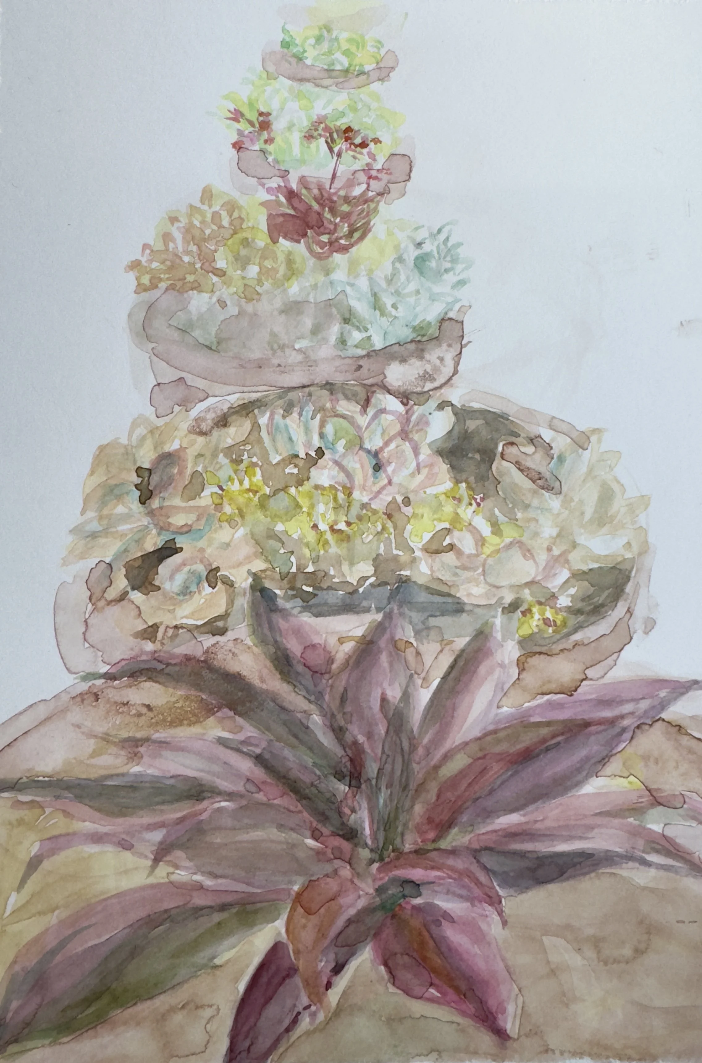 Split Rooftop Garden - 1.7 MB.jpeg