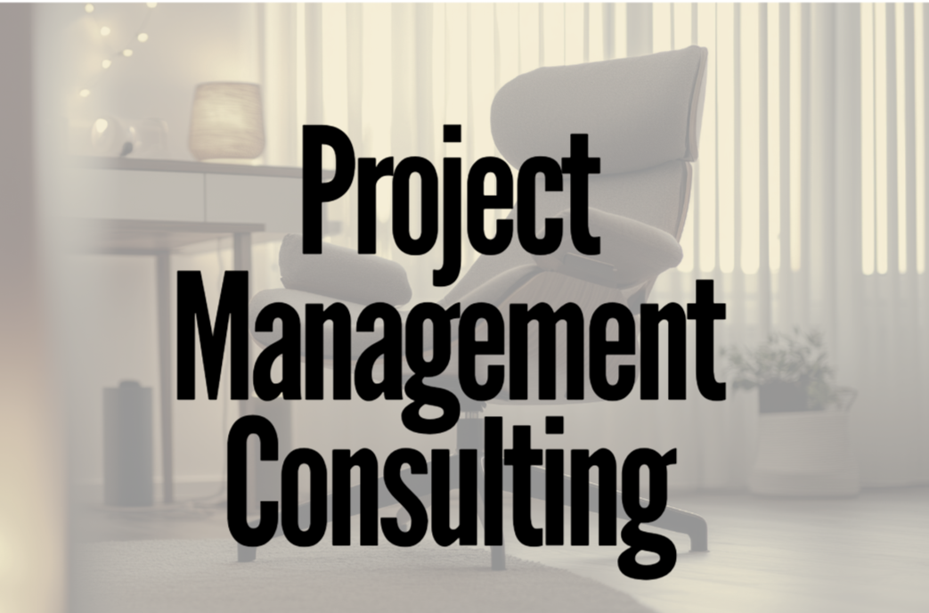 Project Management Consulting