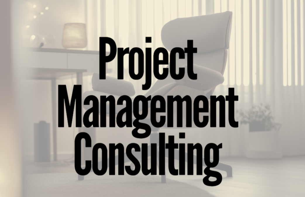 Project Management Consulting