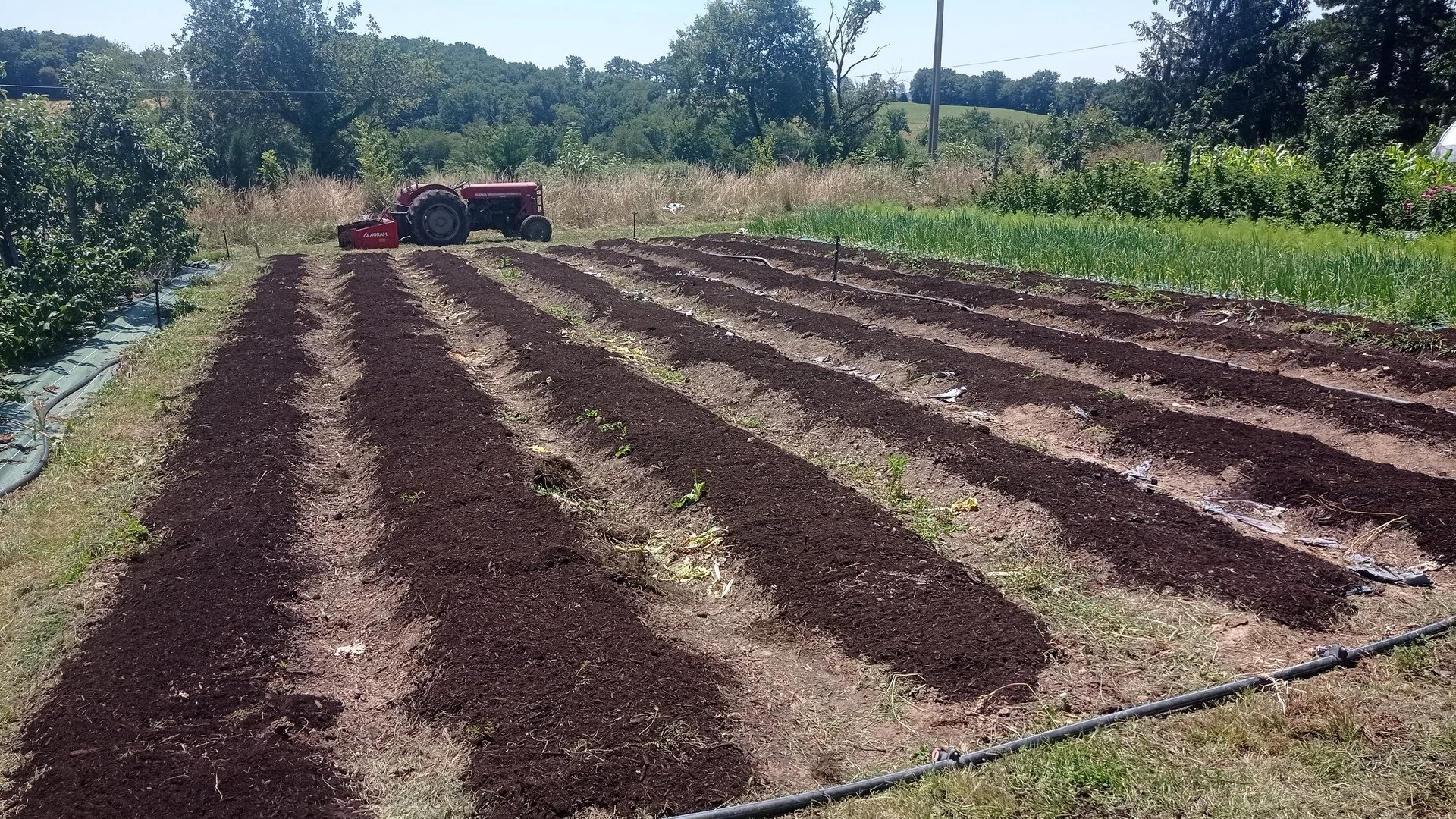 Comment choisir l’emplacement idéal pour une microferme qui cartonne ?