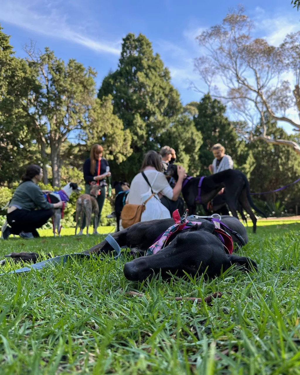 Group walk St Kilda Botanical Gardens