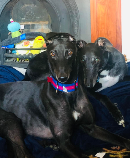 Screenshot 2025-11-18 133040.png