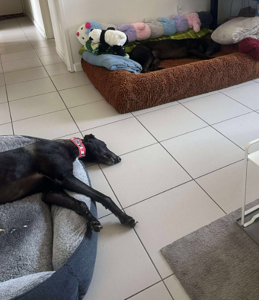 Screenshot 2025-11-18 133645.png