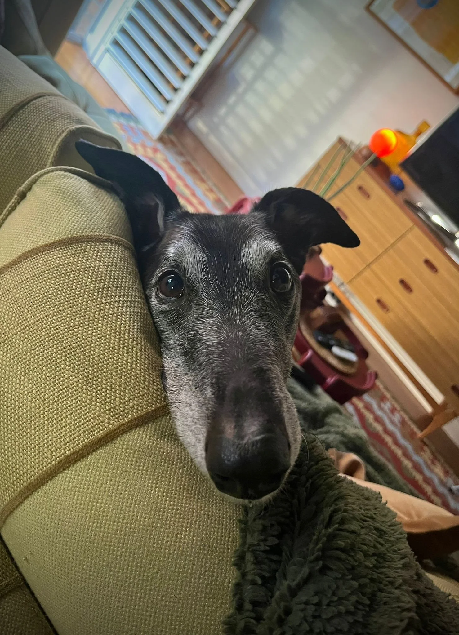 WhatsApp Image 2025-11-19 at 11.24.04 AM (2) (1).jpeg