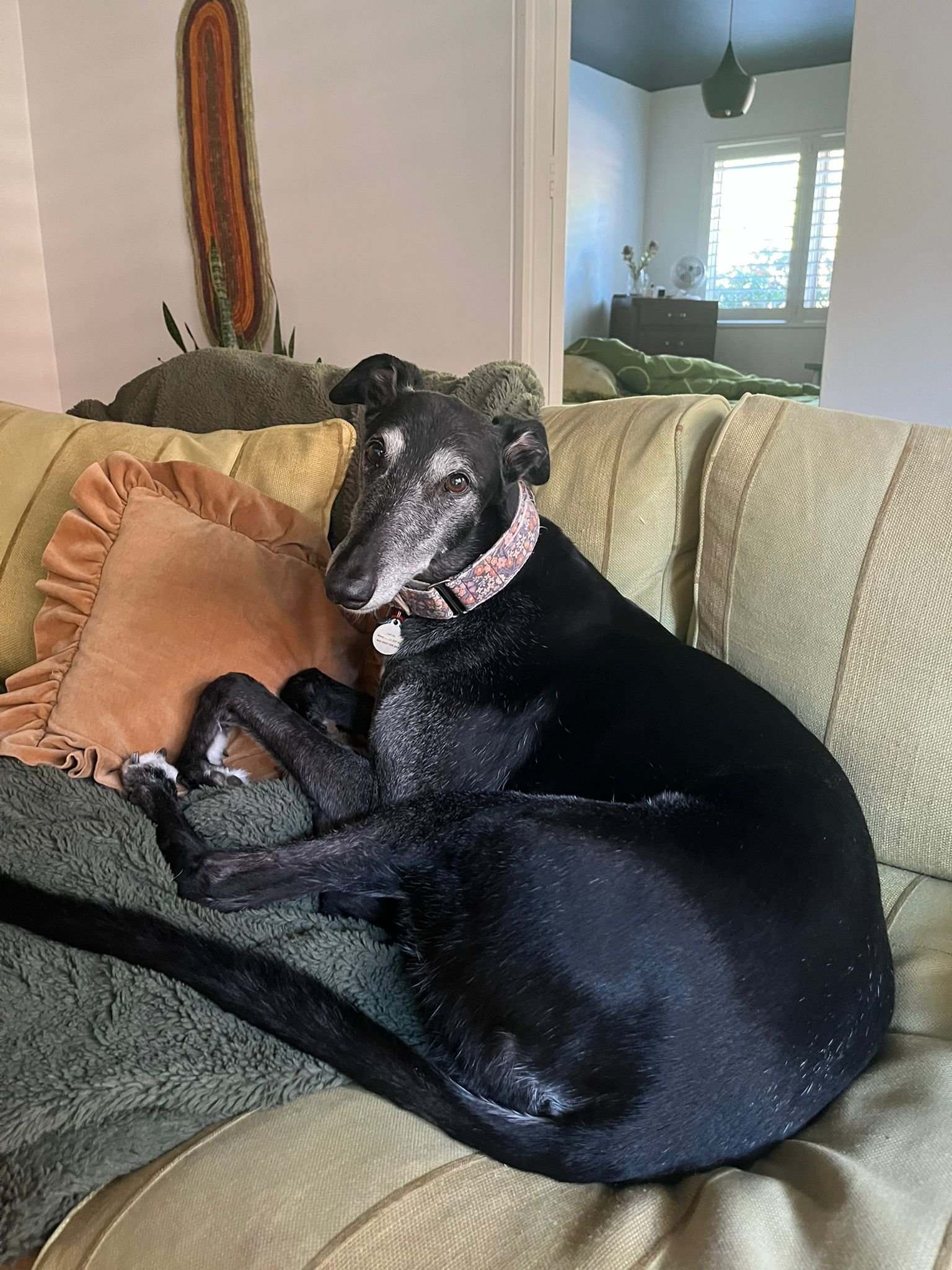 WhatsApp Image 2025-11-19 at 11.24.04 AM (1).jpeg