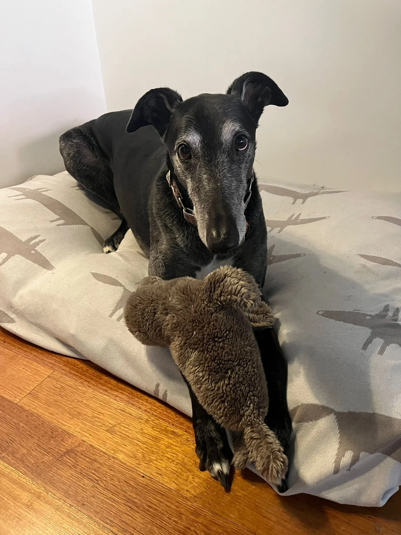 WhatsApp Image 2025-11-19 at 11.24.03 AM.jpeg