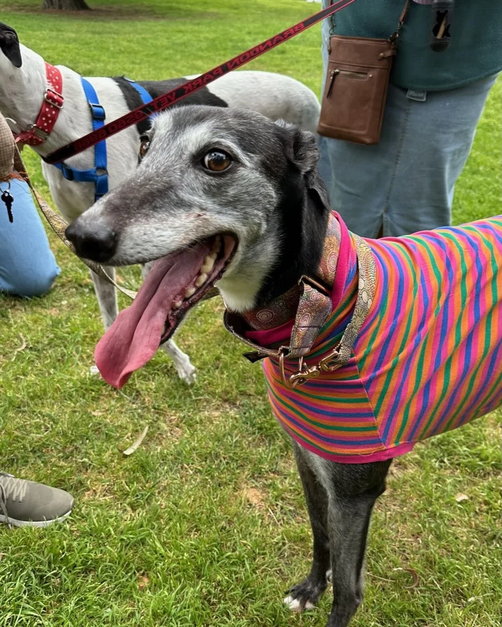 Coburg Farmers Market Flash Mob