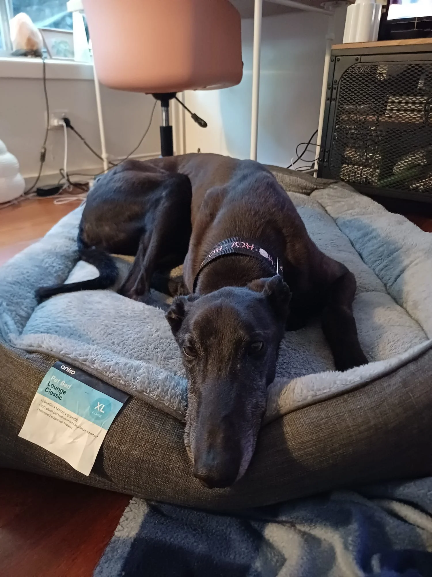 PHOTO-2026-02-14-20-35-08 (1) (1).jpg