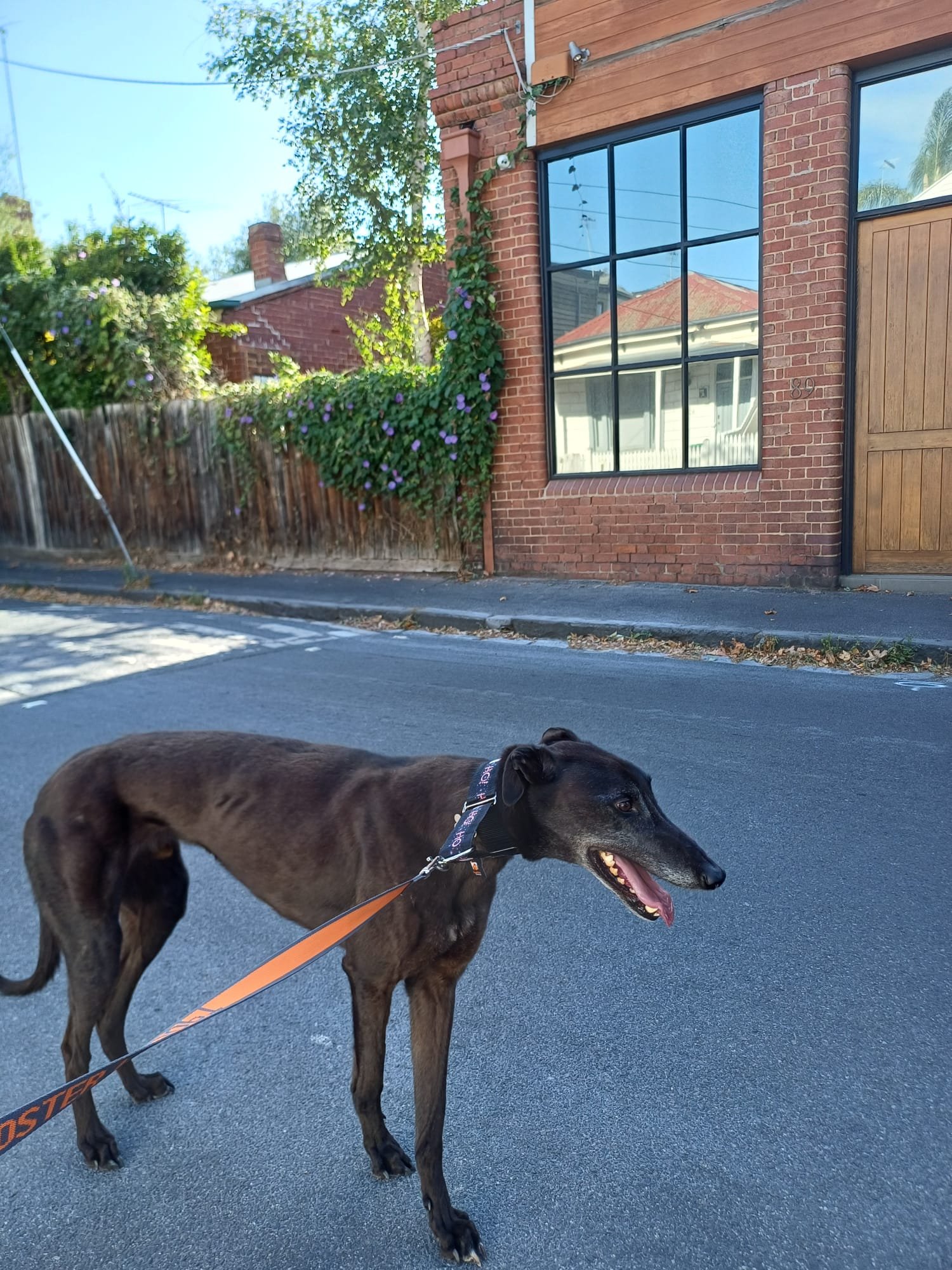 PHOTO-2026-02-14-20-35-10 (2).jpg