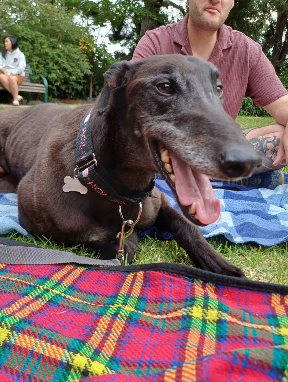 PHOTO-2026-02-14-20-35-08 (1).jpg