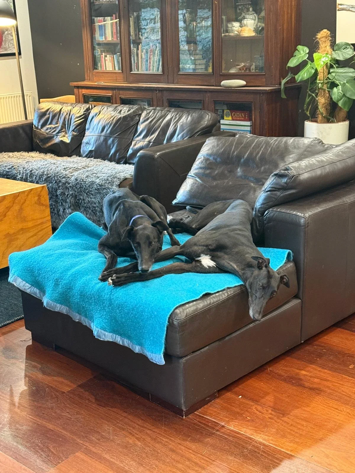 PHOTO-2026-02-16-20-45-42 (2) (1).jpg