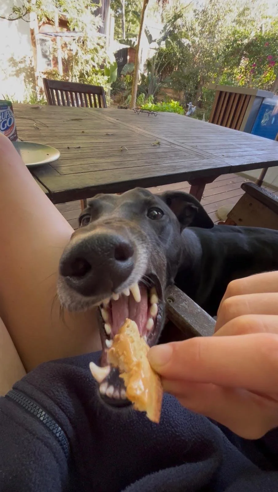 PHOTO-2026-02-16-20-45-42 (3).jpg