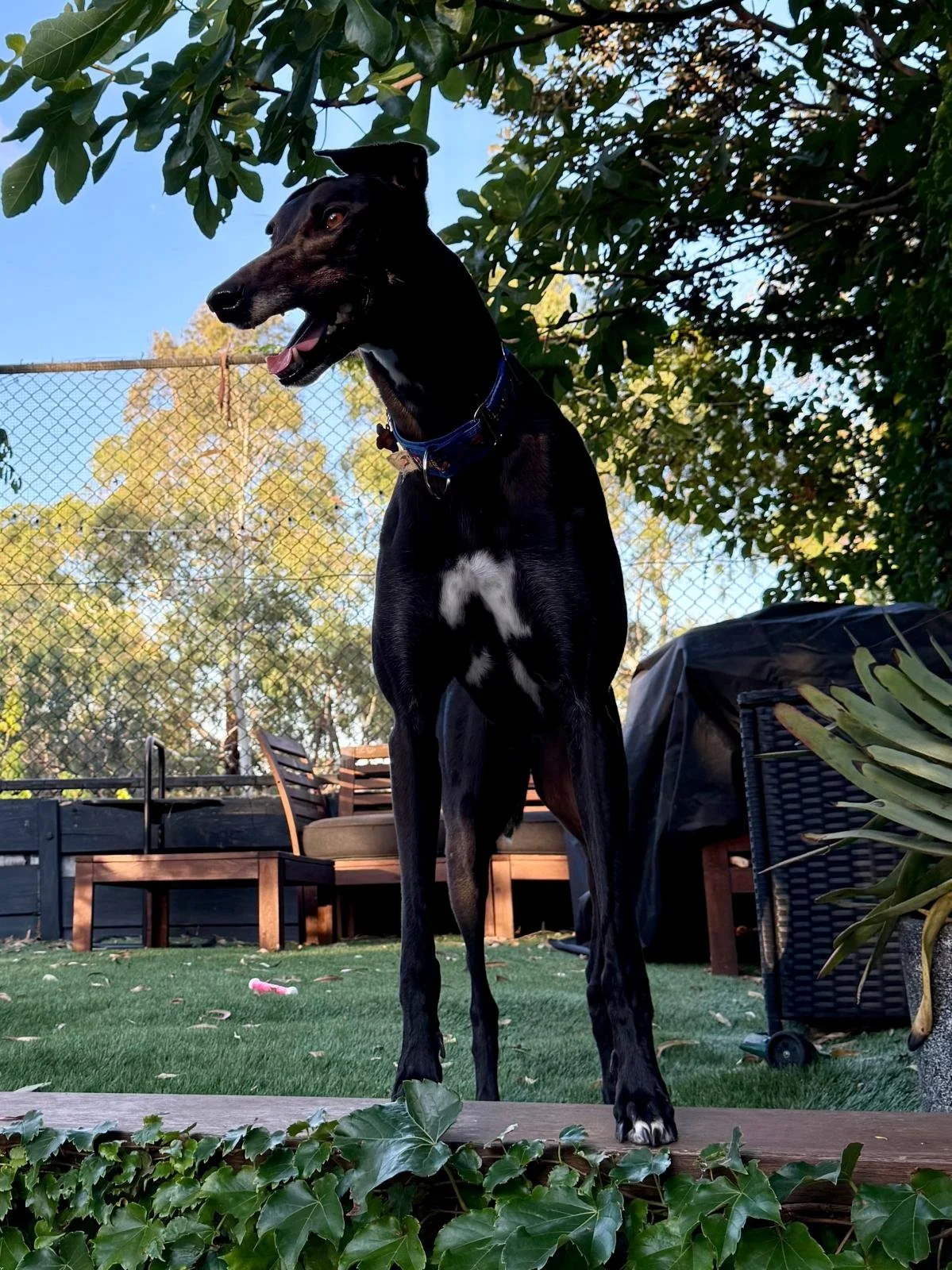 PHOTO-2026-02-16-20-45-46 (1) (1).jpg