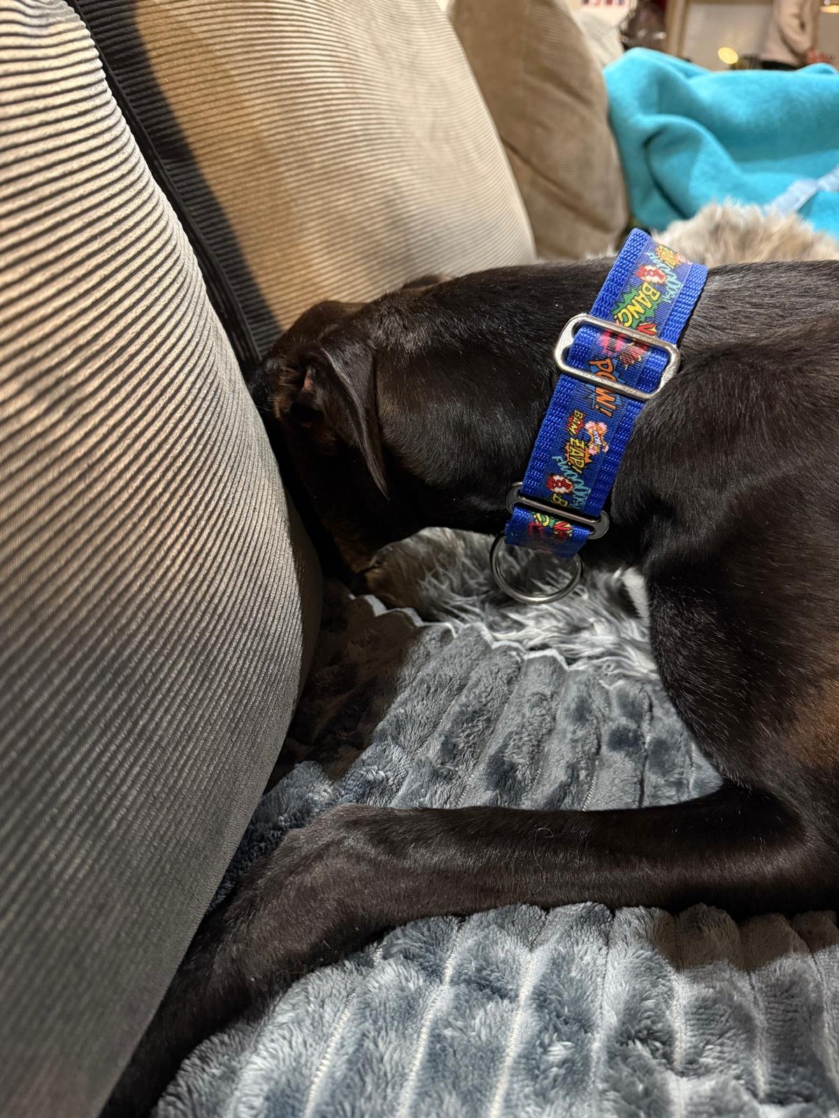 PHOTO-2026-02-16-20-45-46 (1).jpg