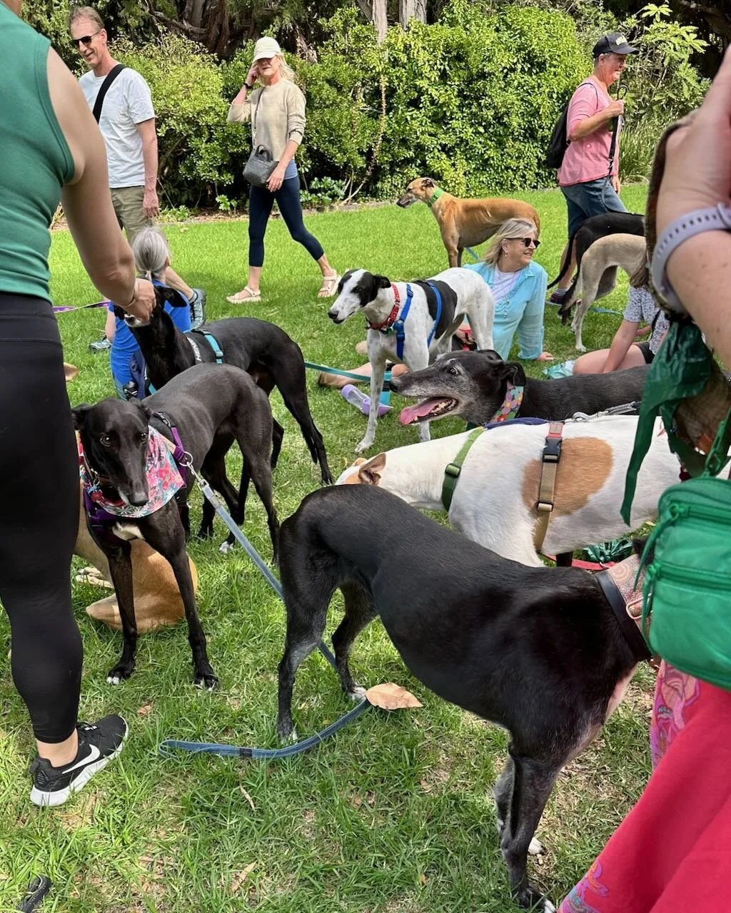Group walk St Kilda Botanical Gardens  (Copy)