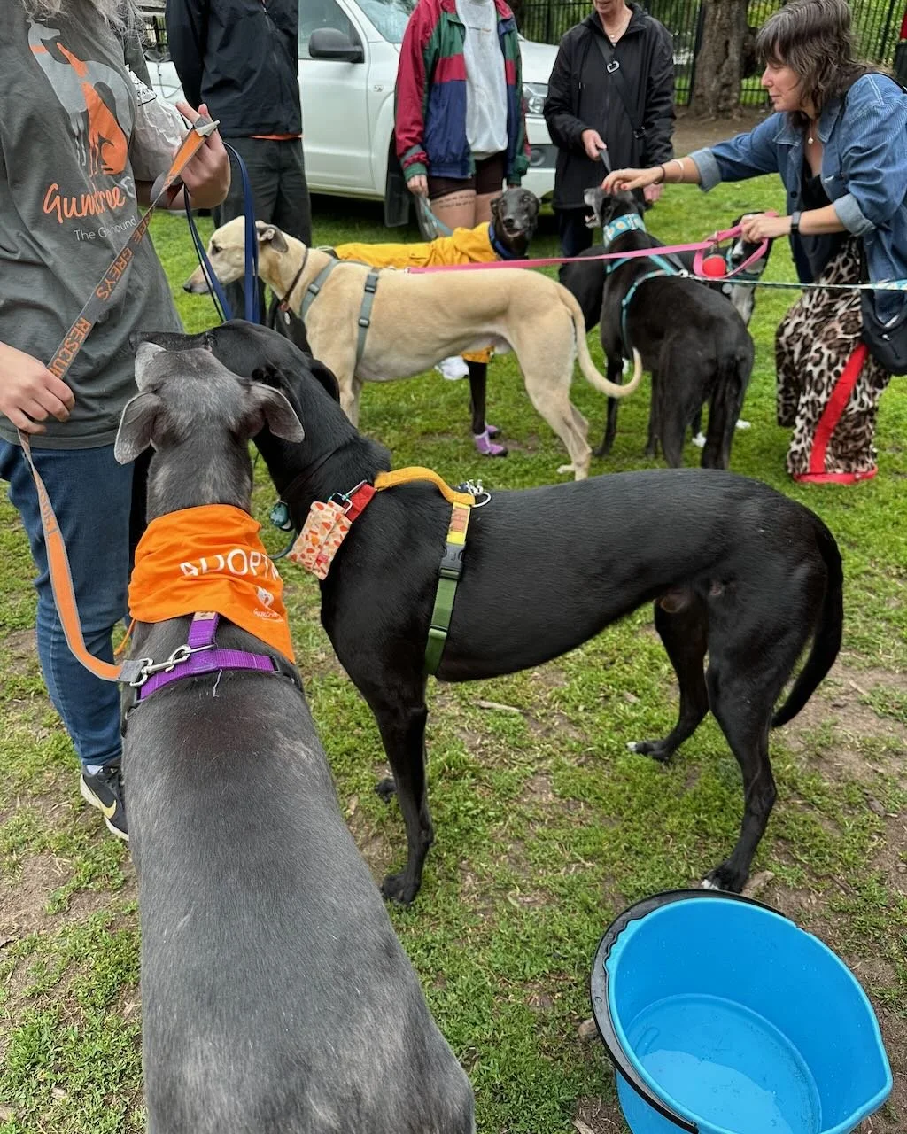 Coburg Farmers Market