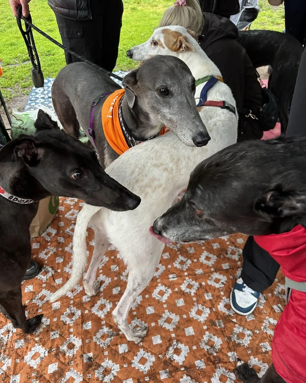 Coburg Farmers Market