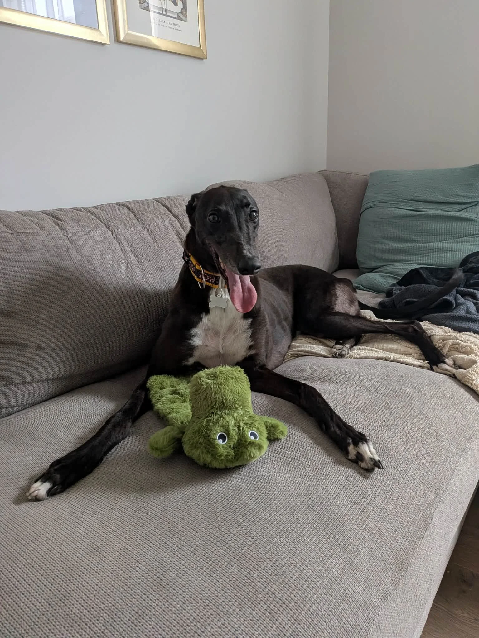 att.9JhGAEGB1x3XF4RXfKwjfww6bhTJZfpKEWwcXvagFvw (1).JPG