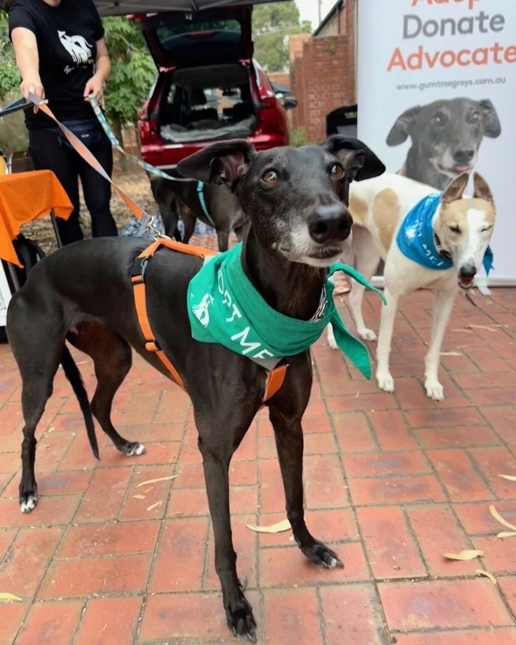 Gasworks Farmers Market 