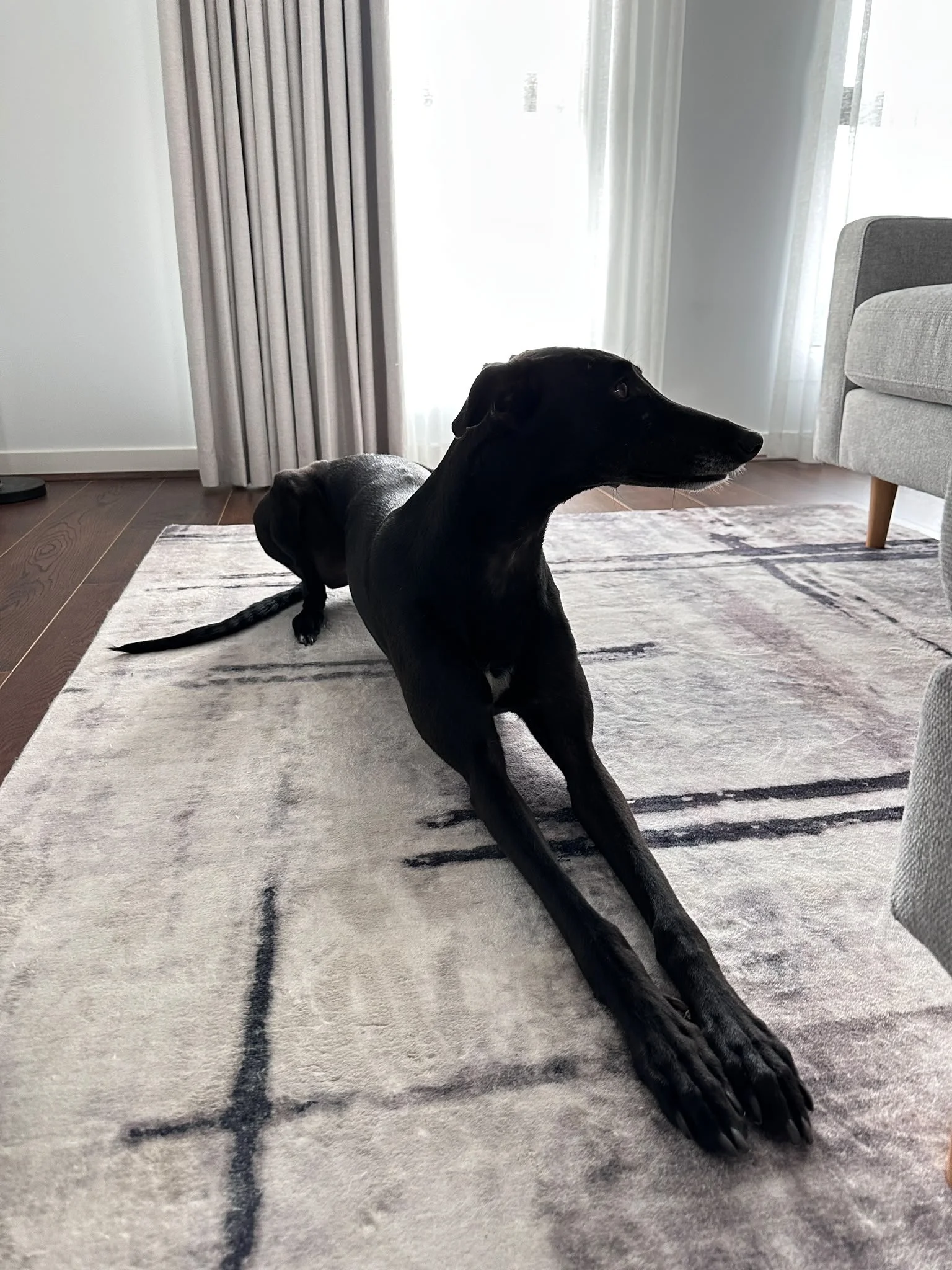 IMG_8660.JPG