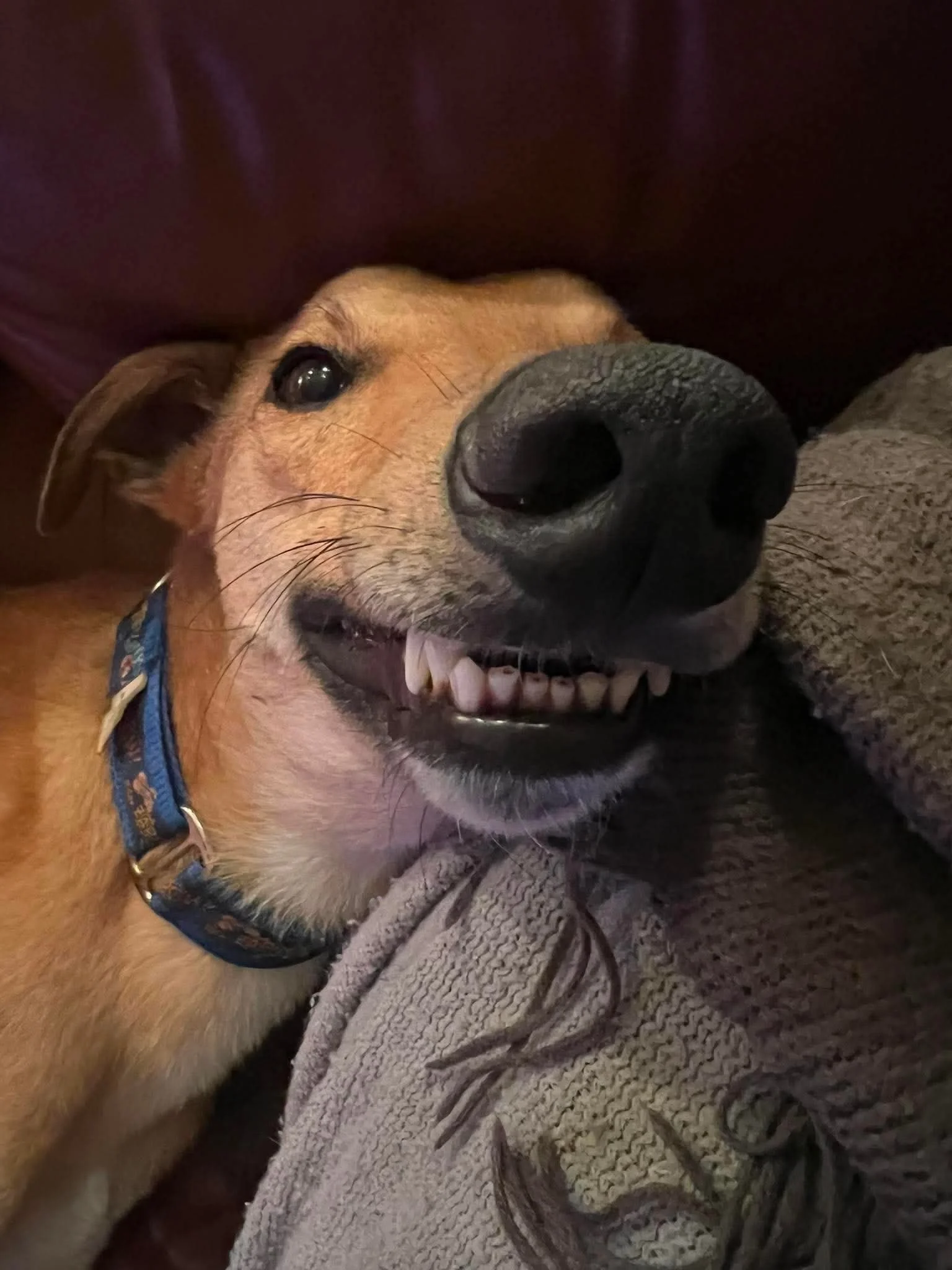 ce3154884b76a5e67432d9b597c281e8.JPEG