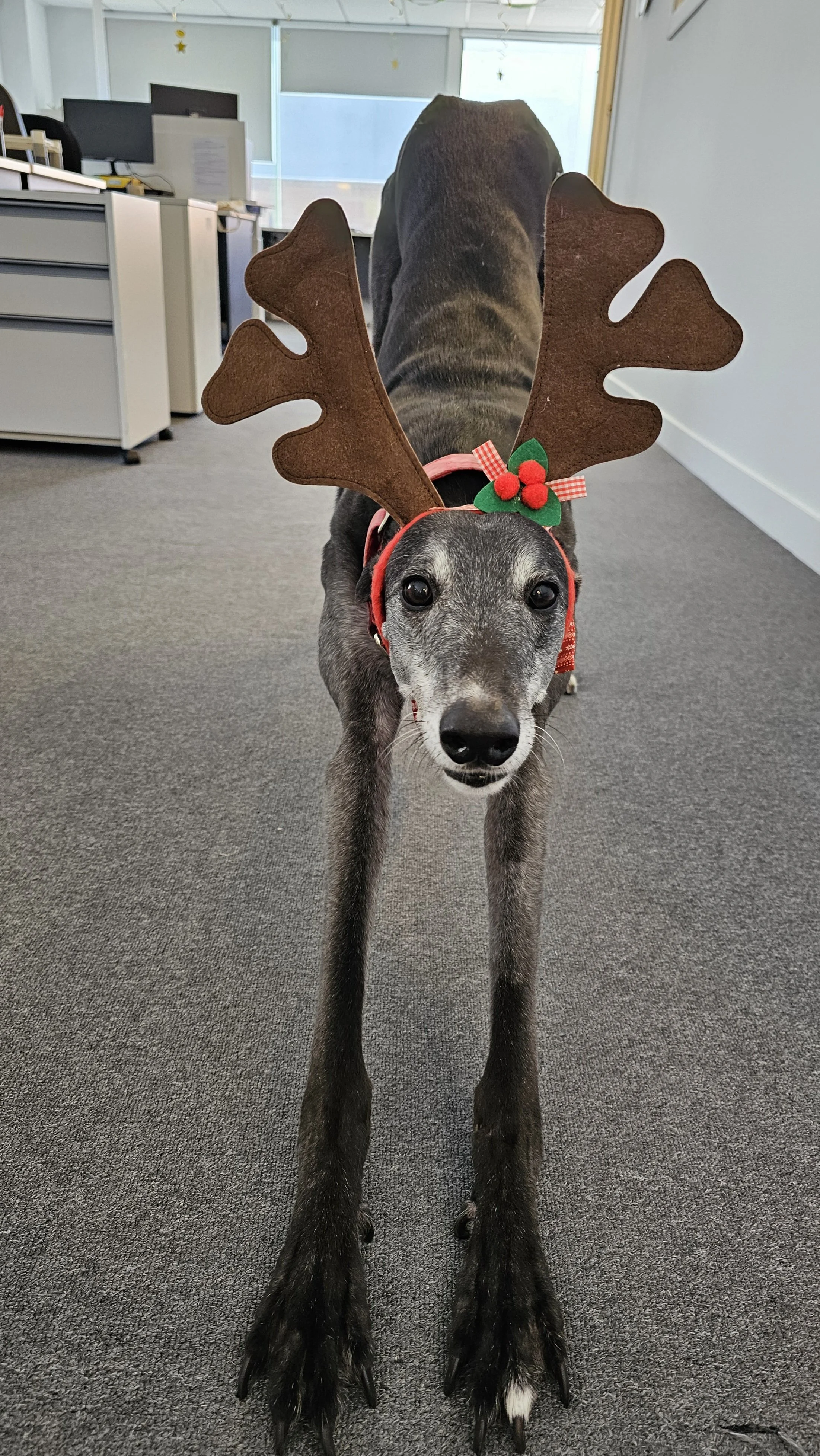 20231222_122732.jpeg