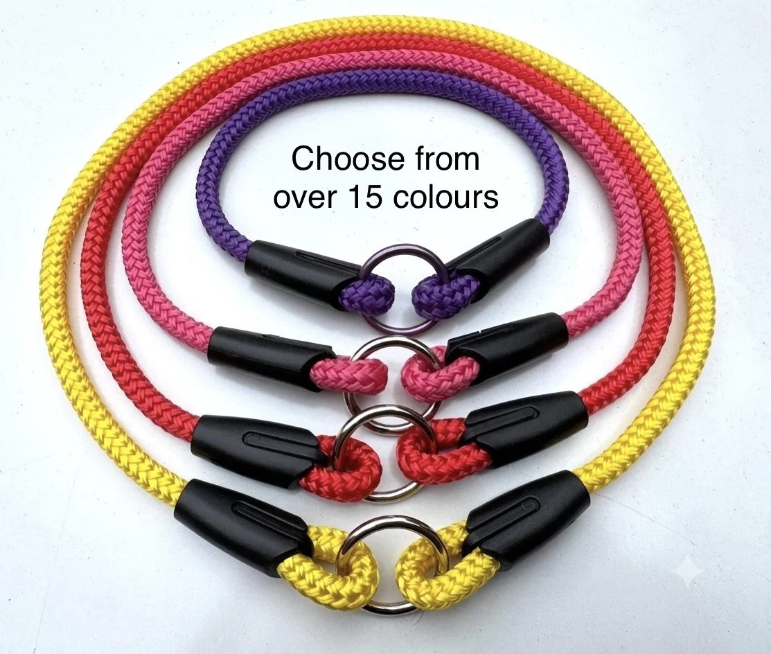 Braided Rope ID Tag Collar, Australian Made House Collars, Lightweight Comfortable Everyday Dog ID Collar - Choose your Rope Colour